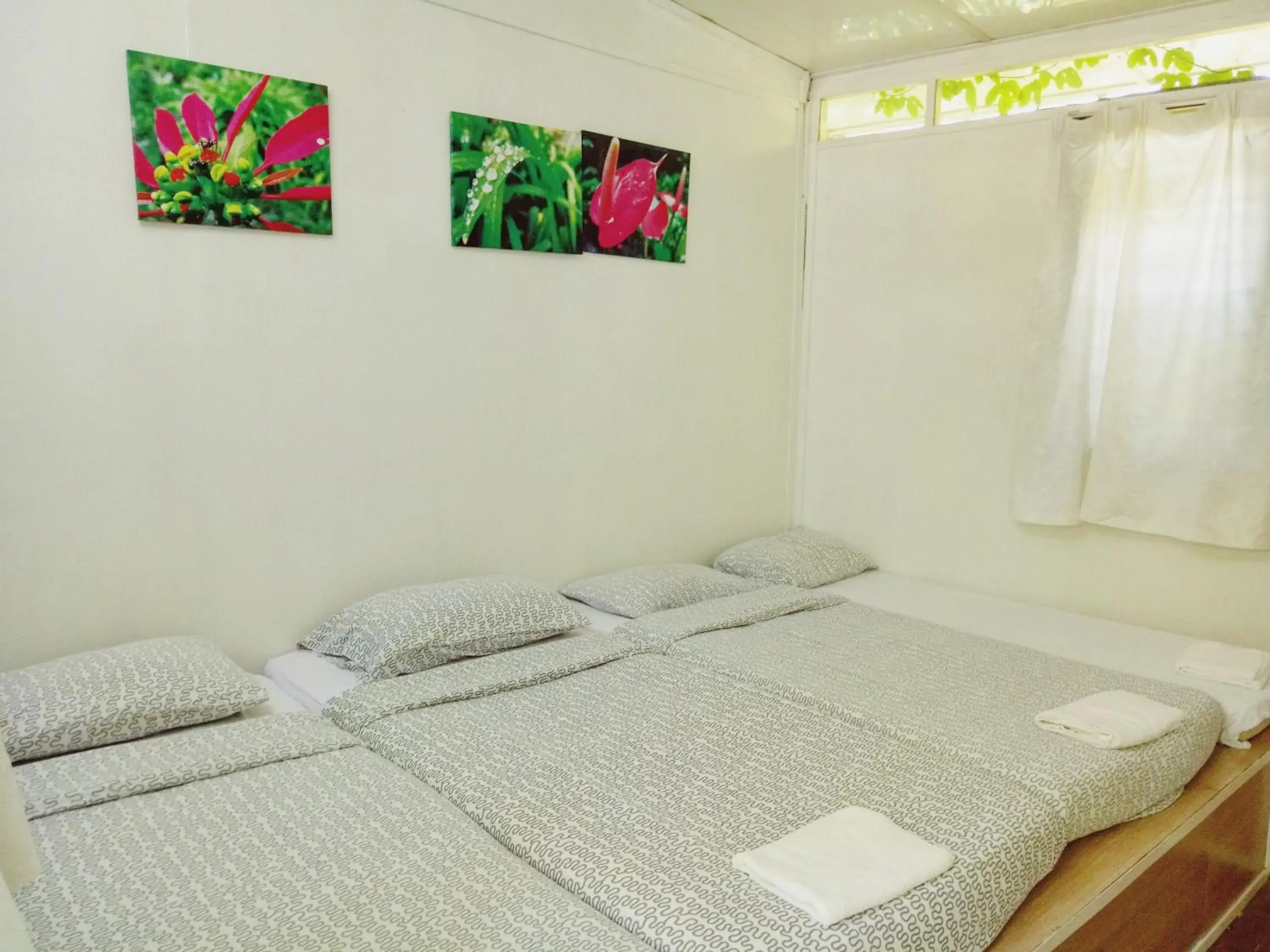 Triple Room with Shared Bathroom in Moonriver Lodge Triple Room with Shared Bathroom in Moonriver Lodge