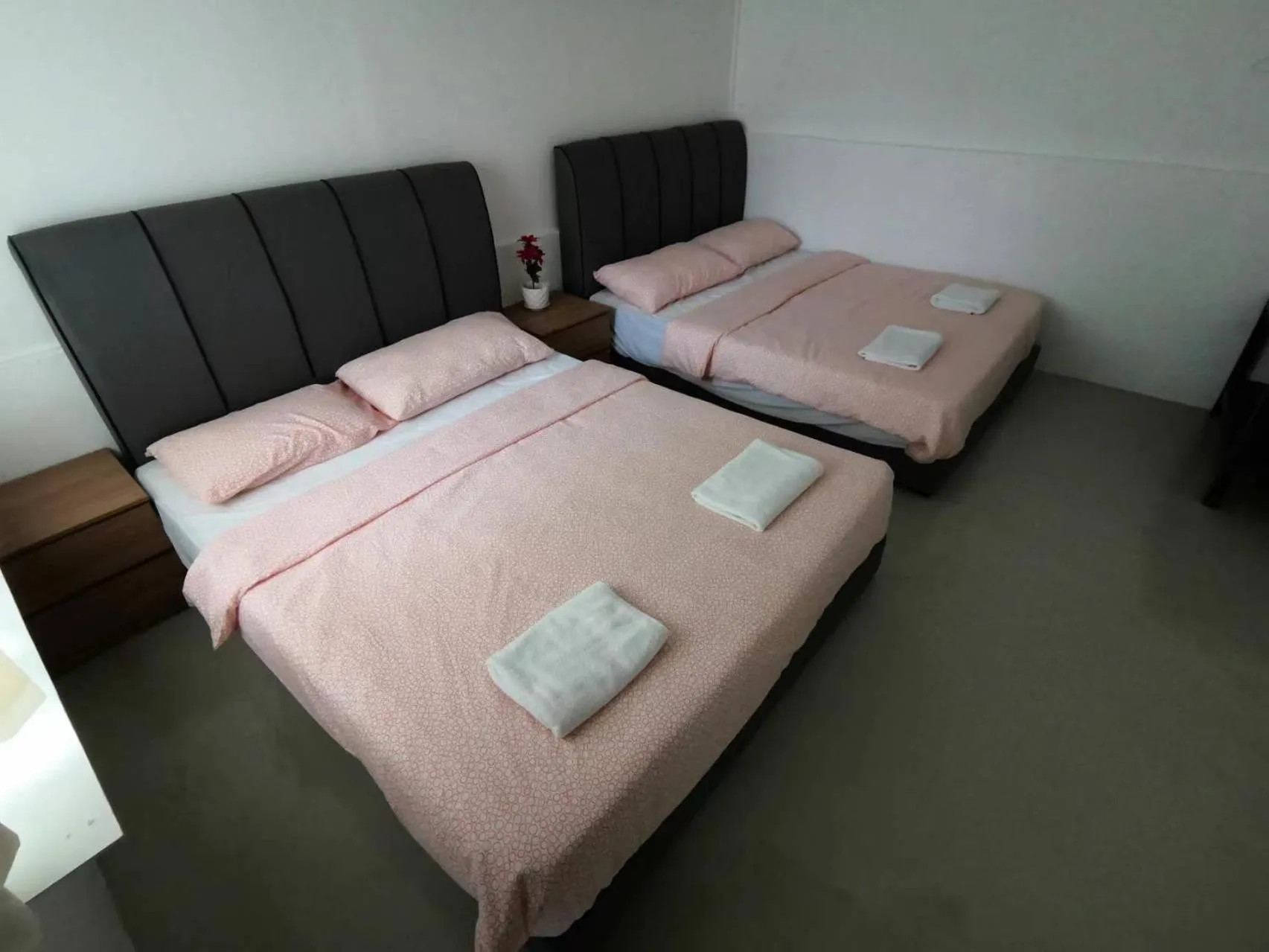 Photo of the whole room, Bed in Moonriver Lodge