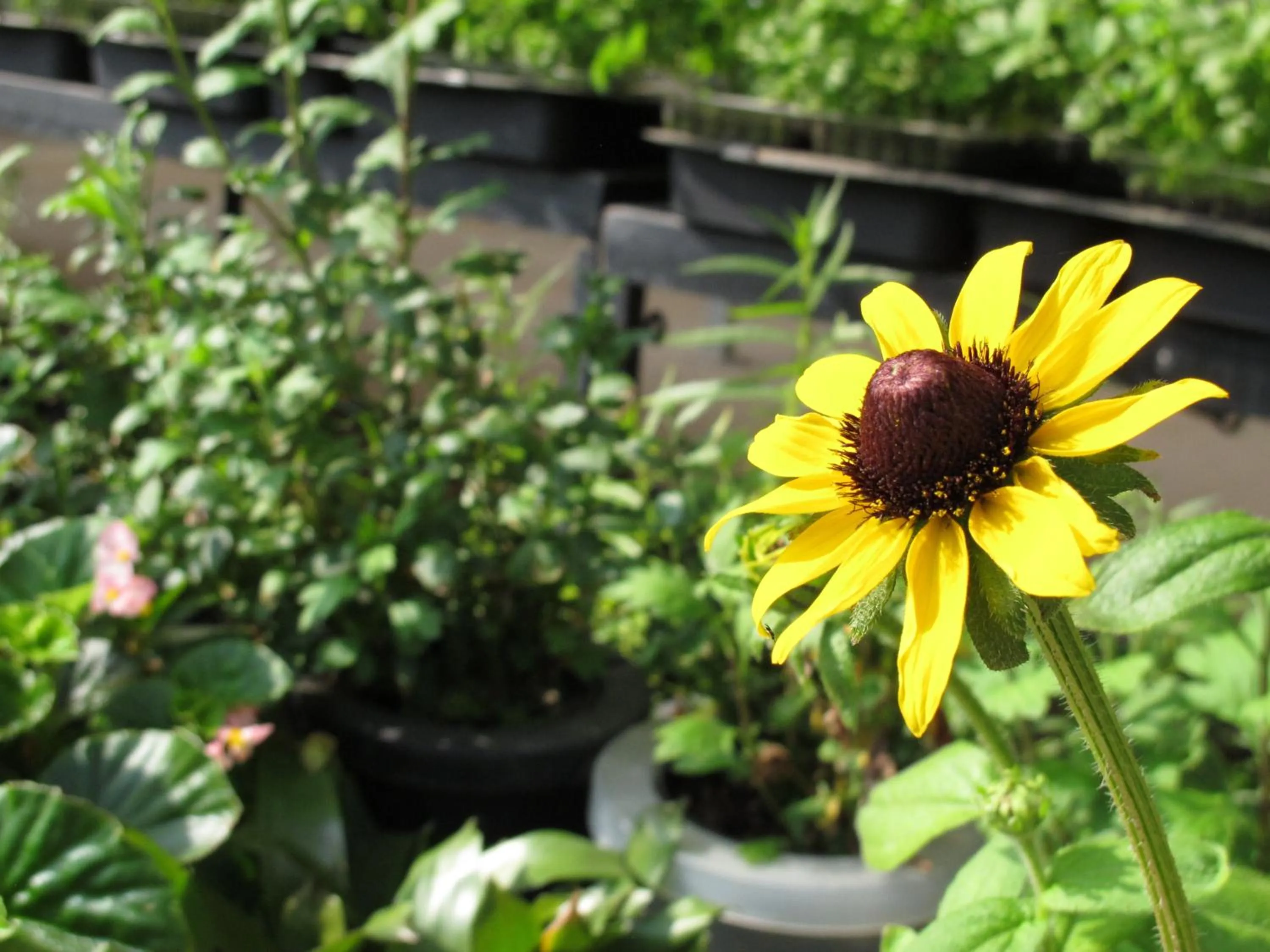 Other in Moonriver Lodge