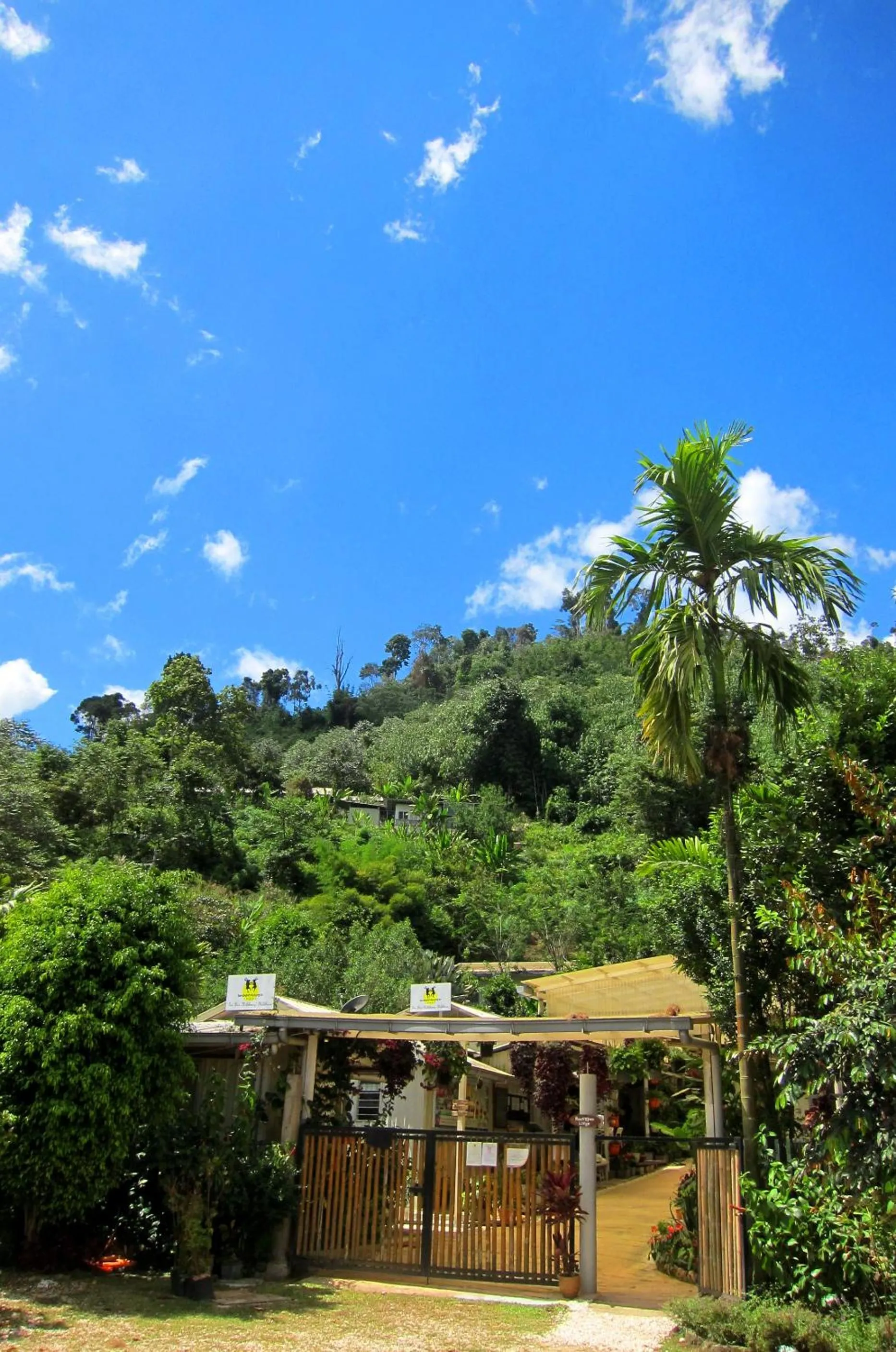 Day in Moonriver Lodge