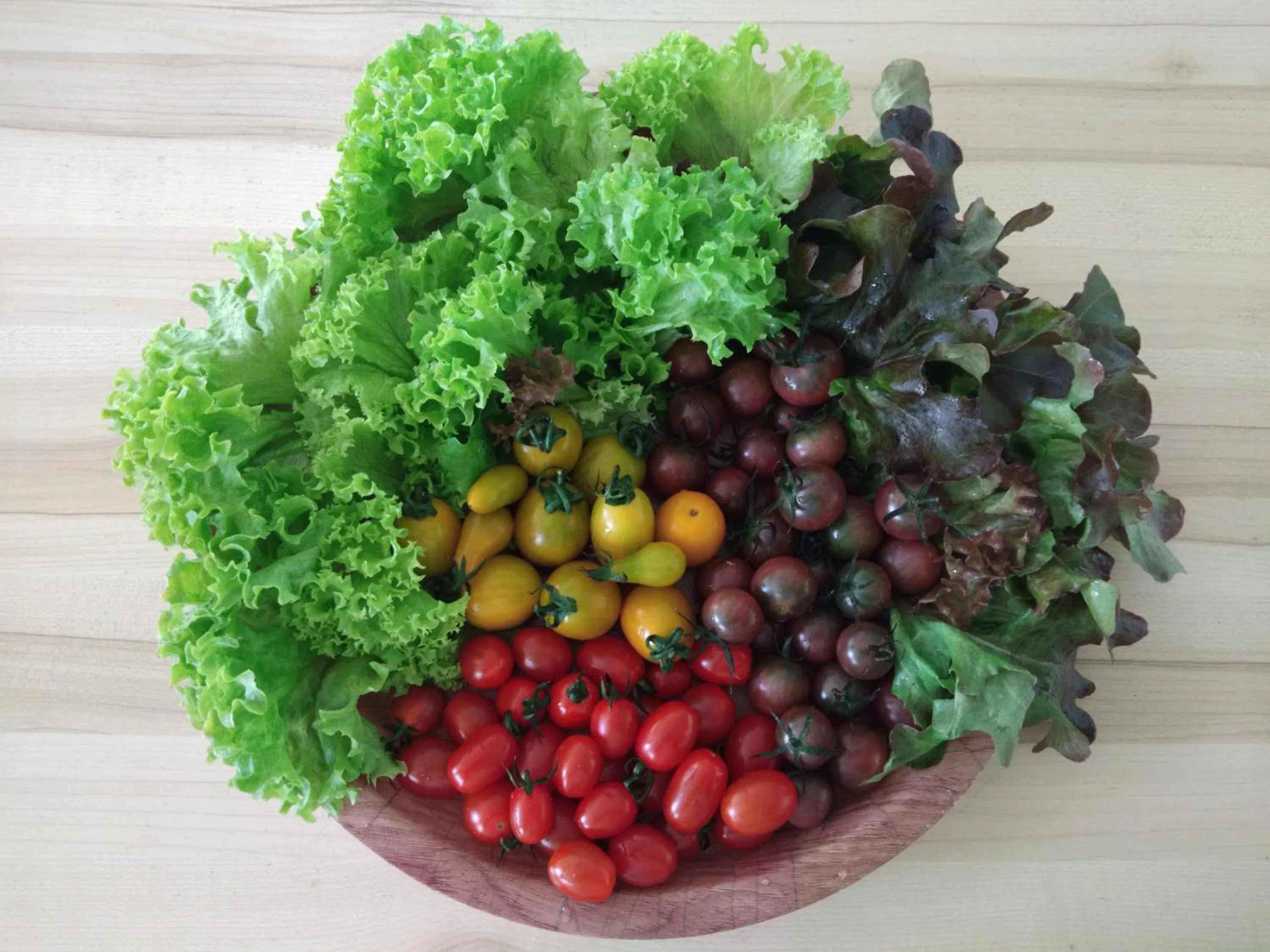 Food in Moonriver Lodge