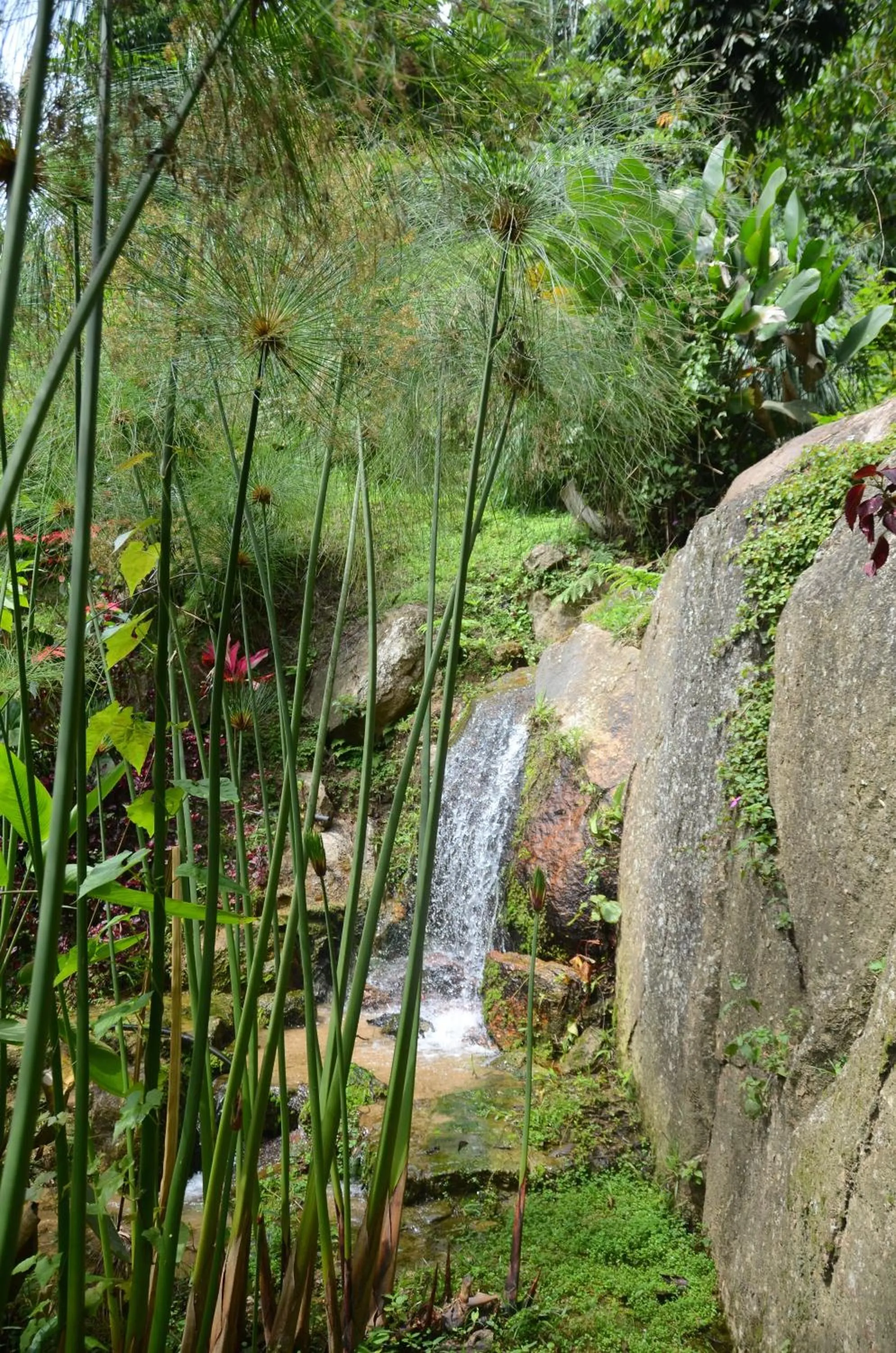 View (from property/room) in Moonriver Lodge