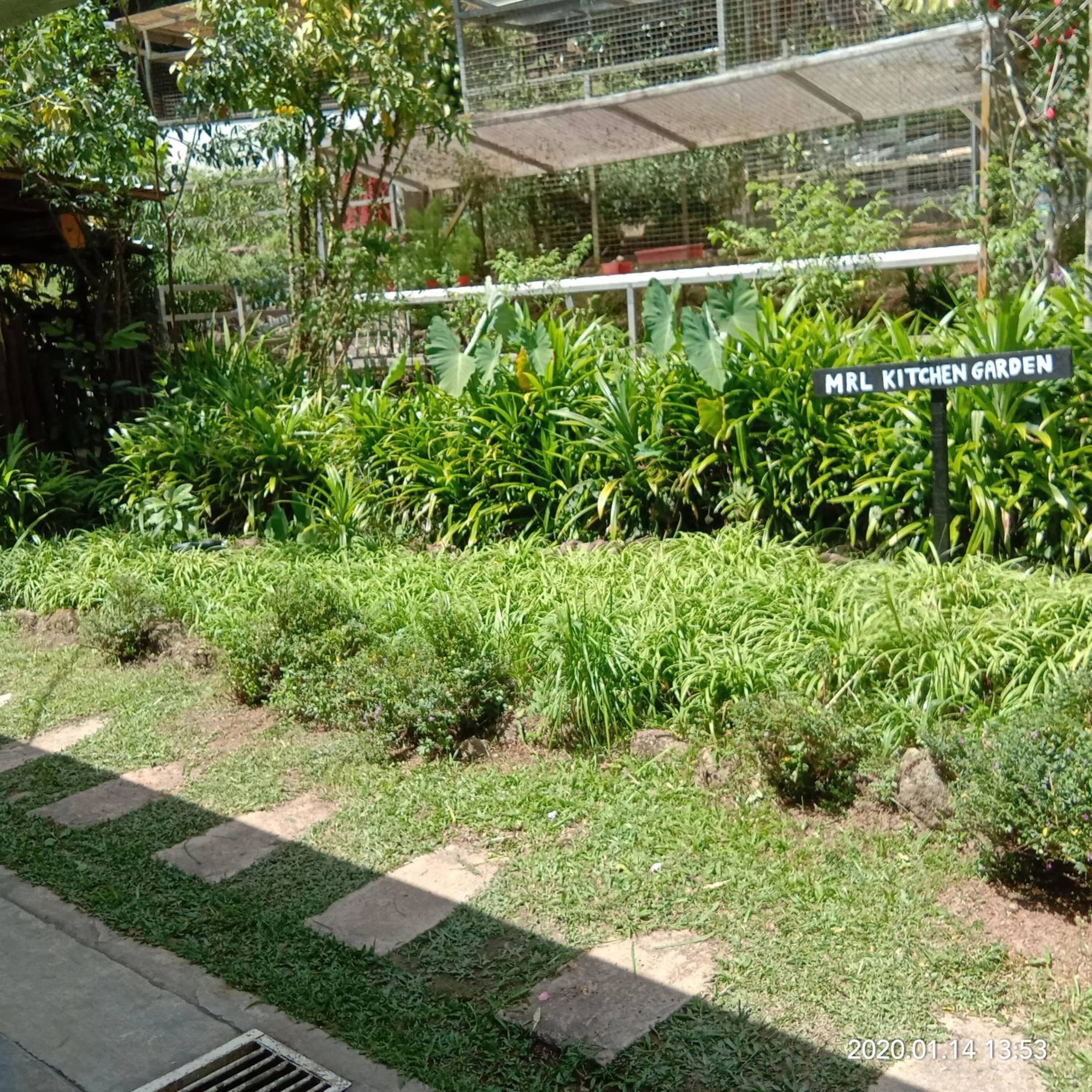 Garden in Moonriver Lodge