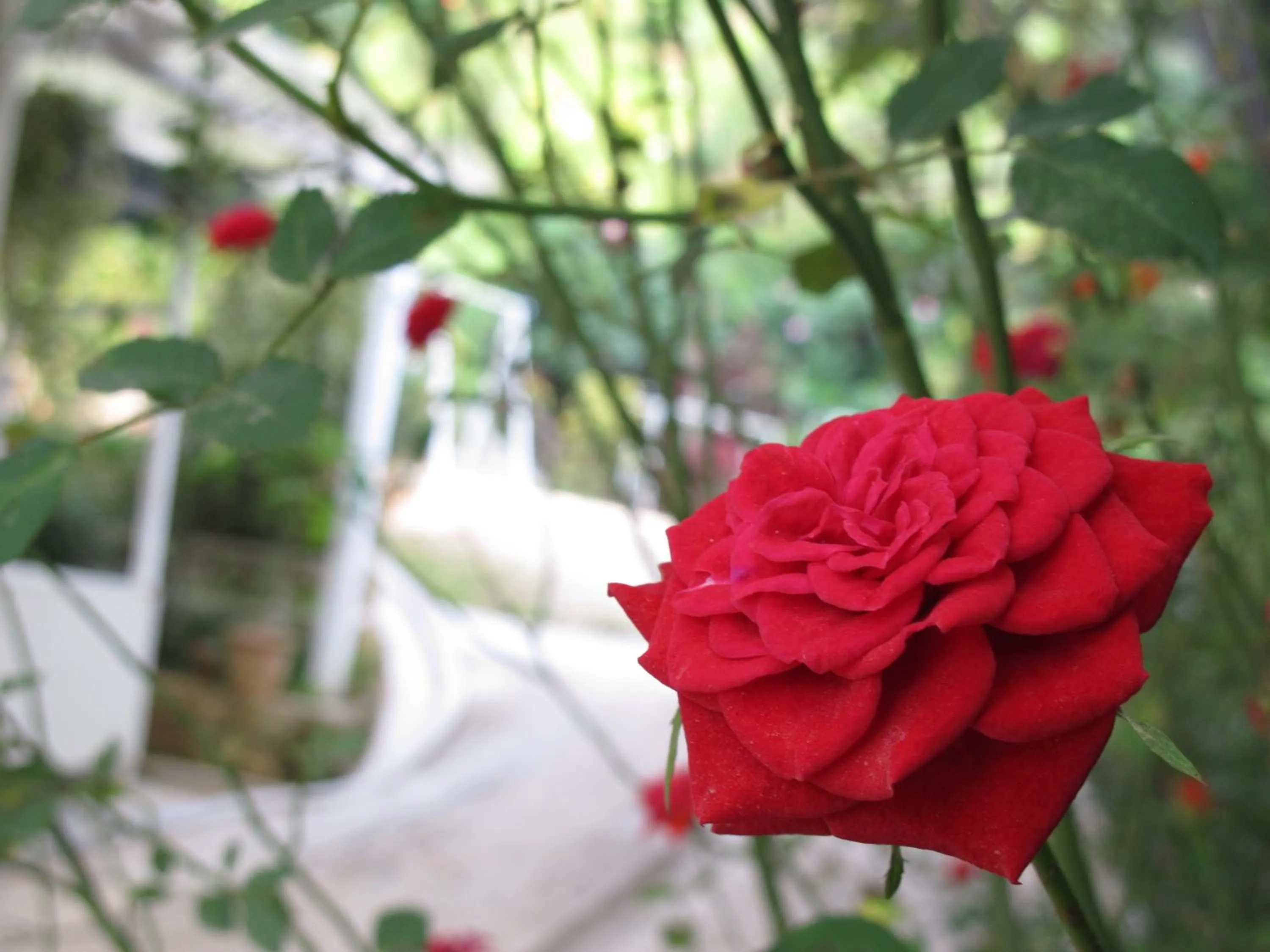 Other in Moonriver Lodge