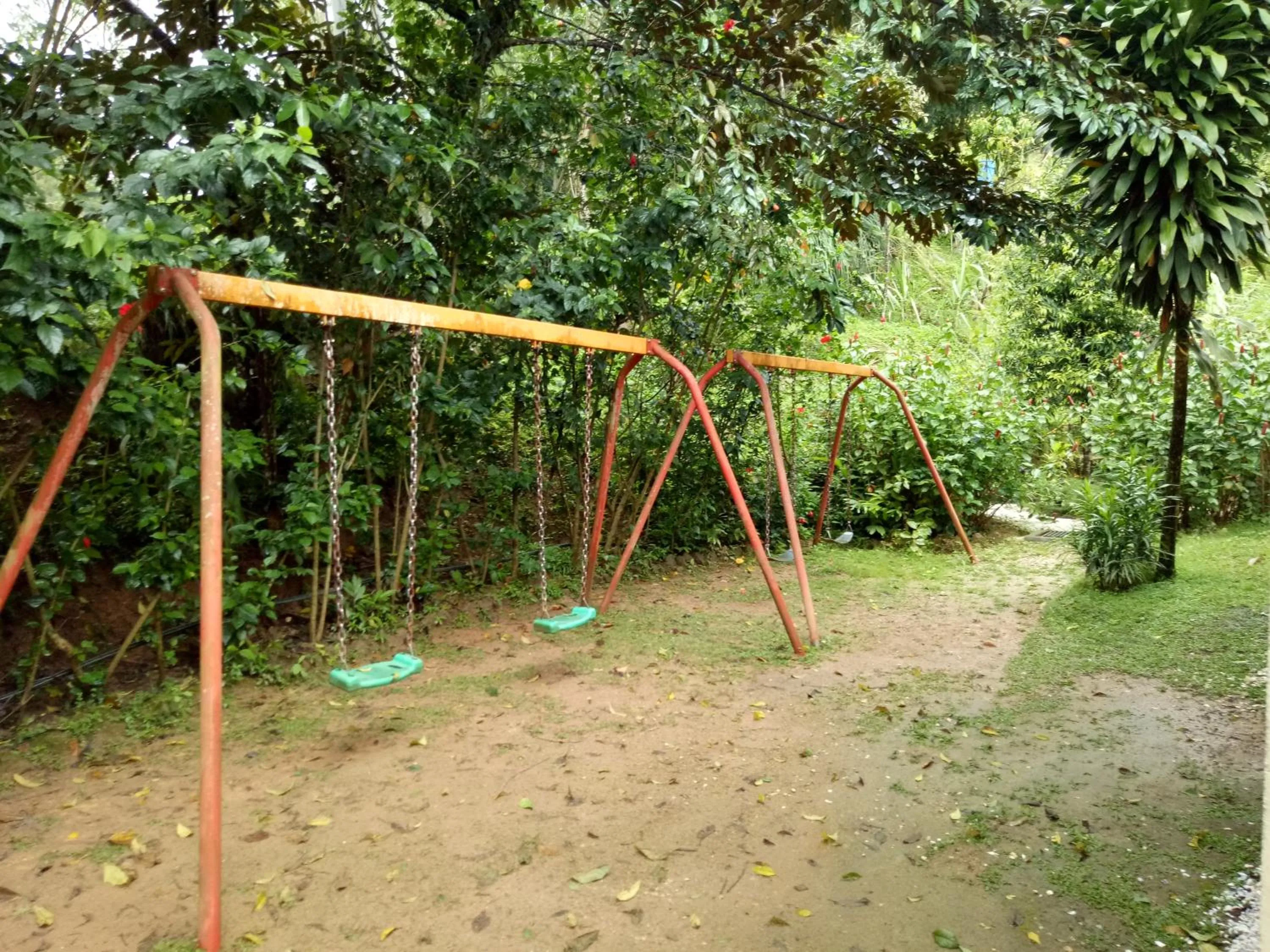 Day in Moonriver Lodge