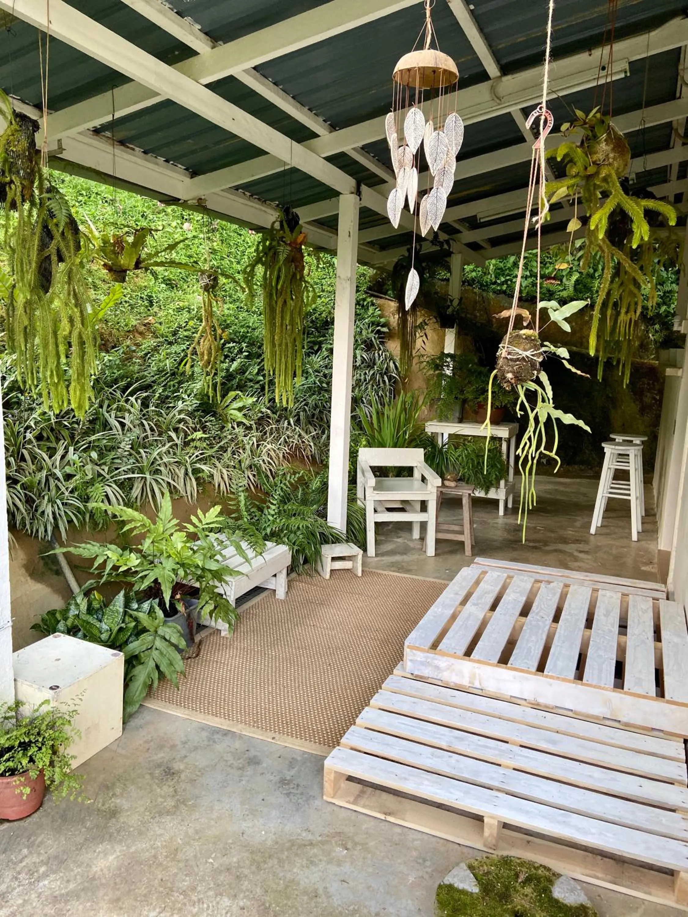 Balcony/Terrace in Moonriver Lodge