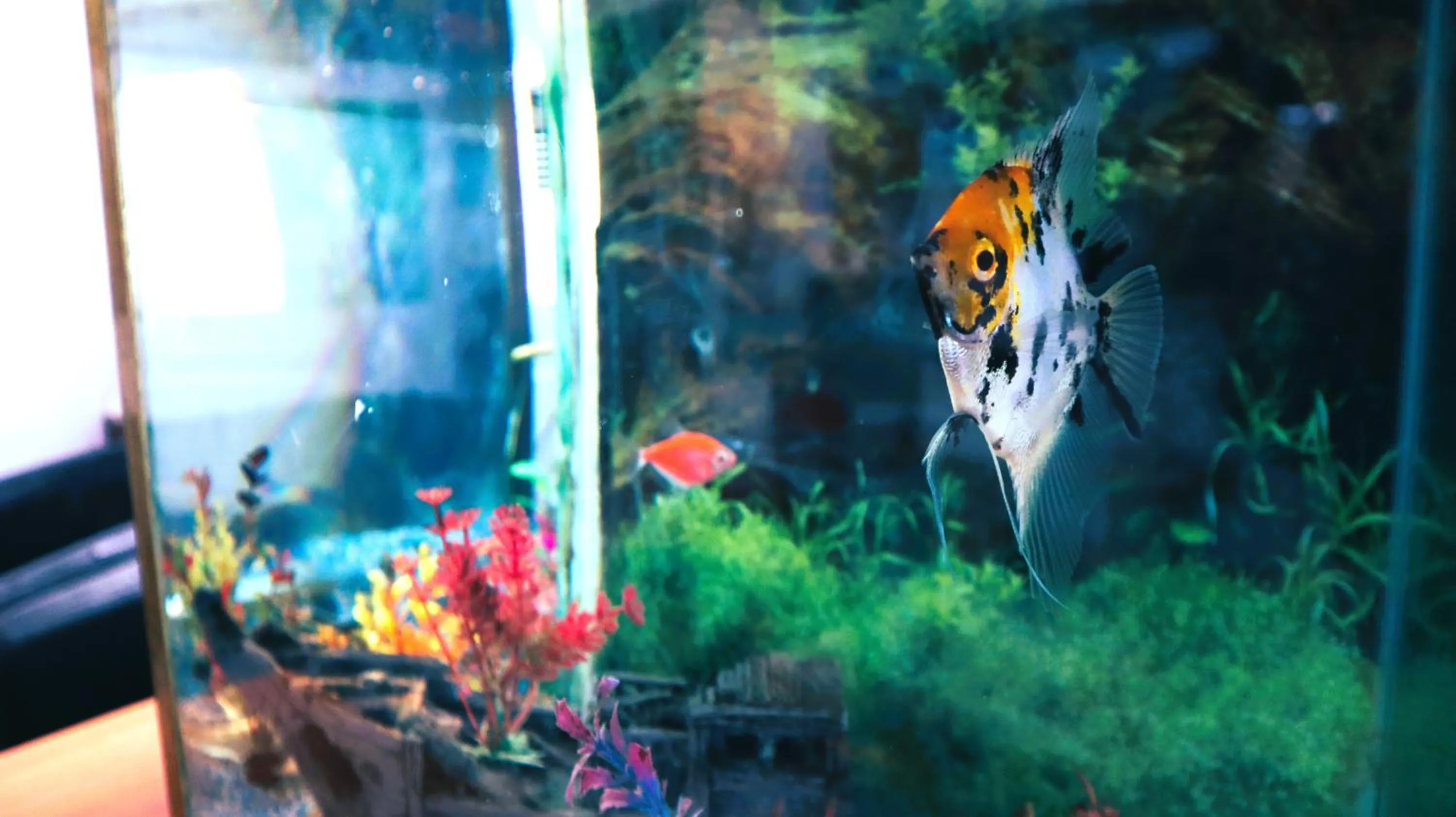 Natural landscape in Taxi Hostel