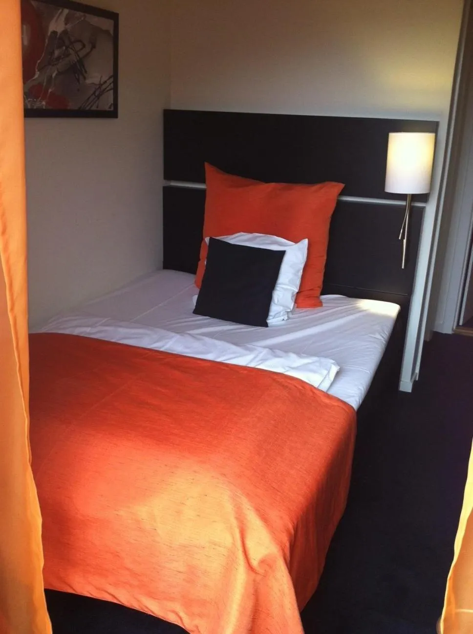 Single Room in Hotel Harmonien