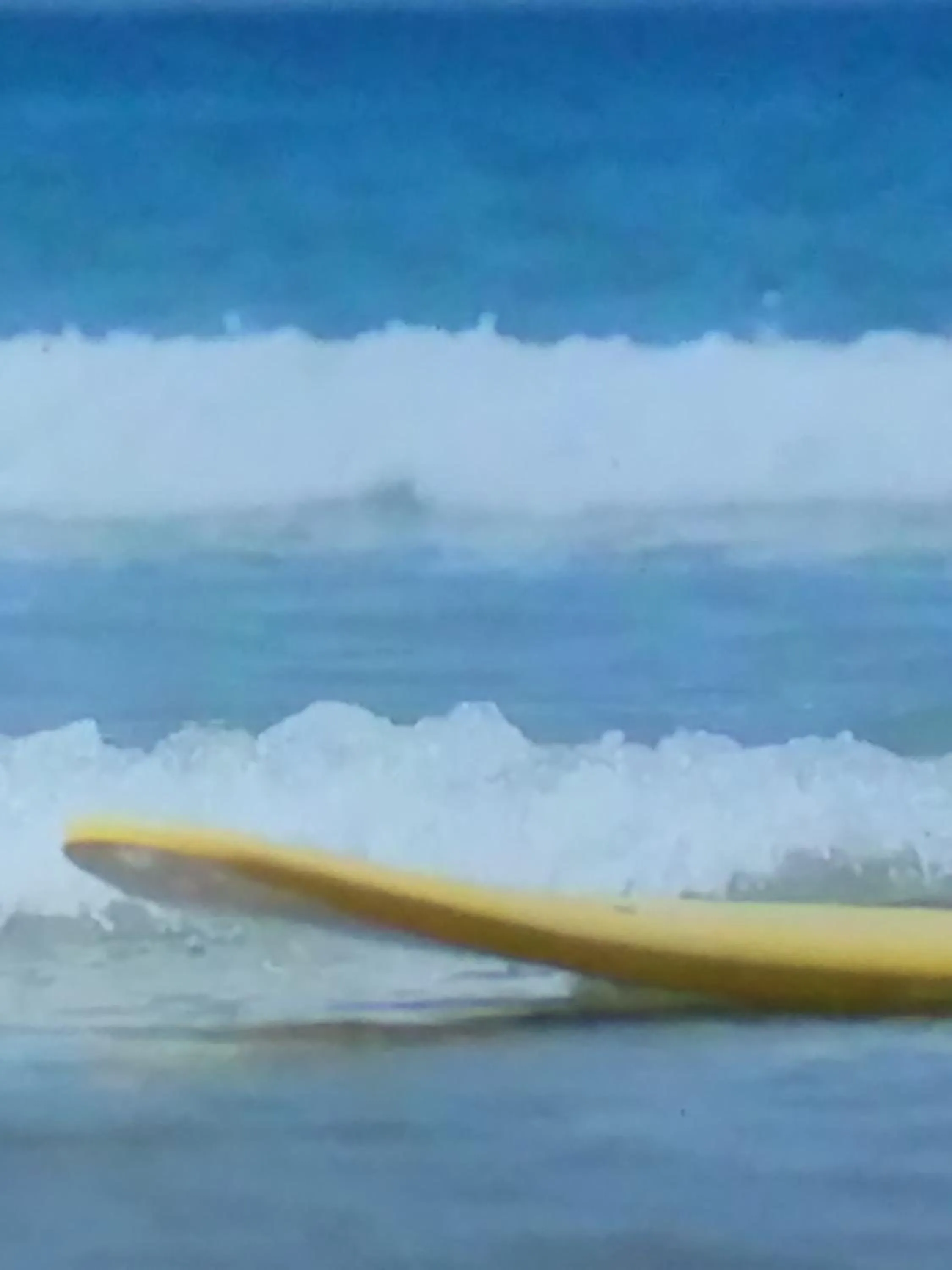 Natural landscape in Hôtel Camou