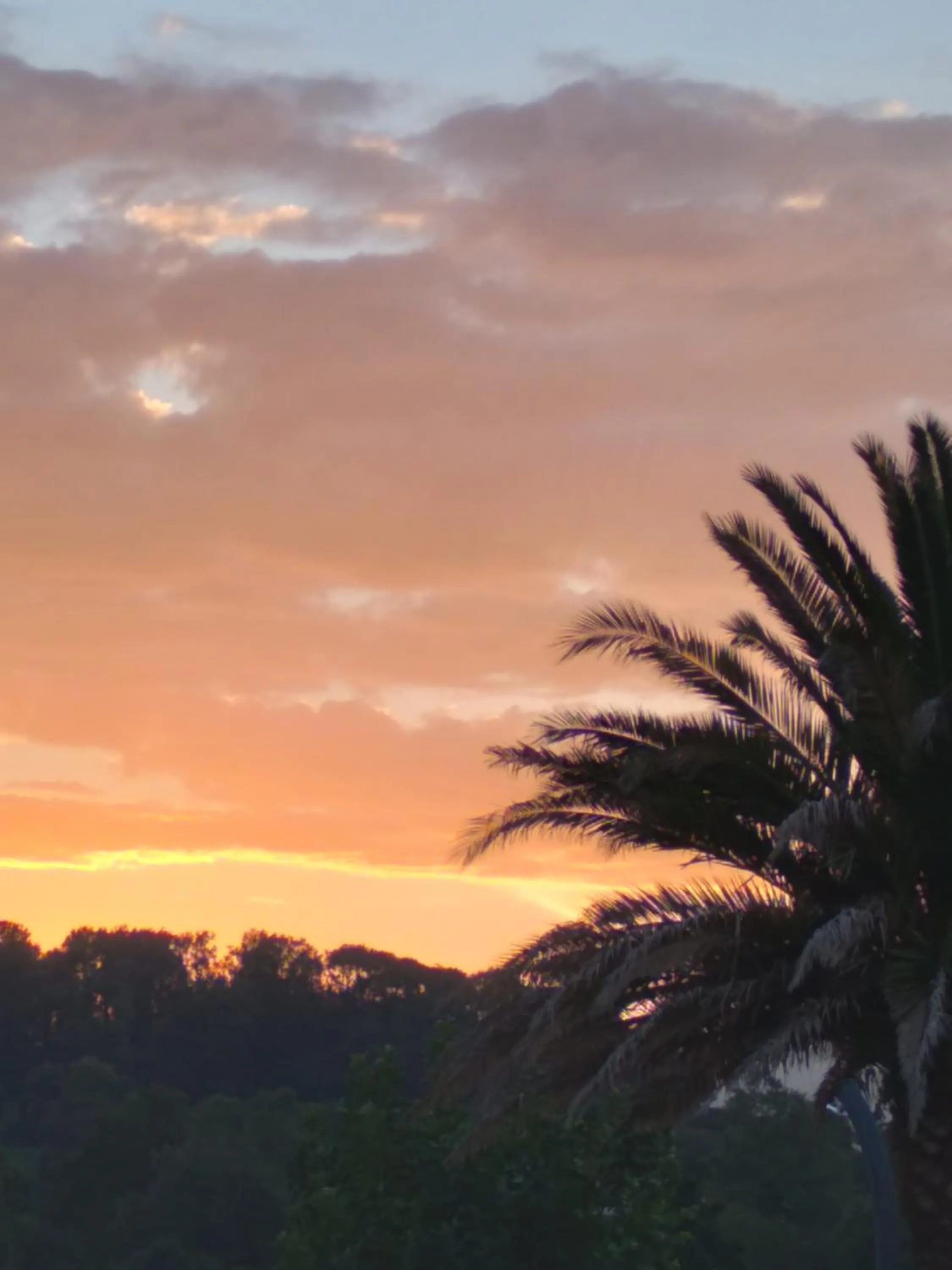 Pool view in Hôtel Camou