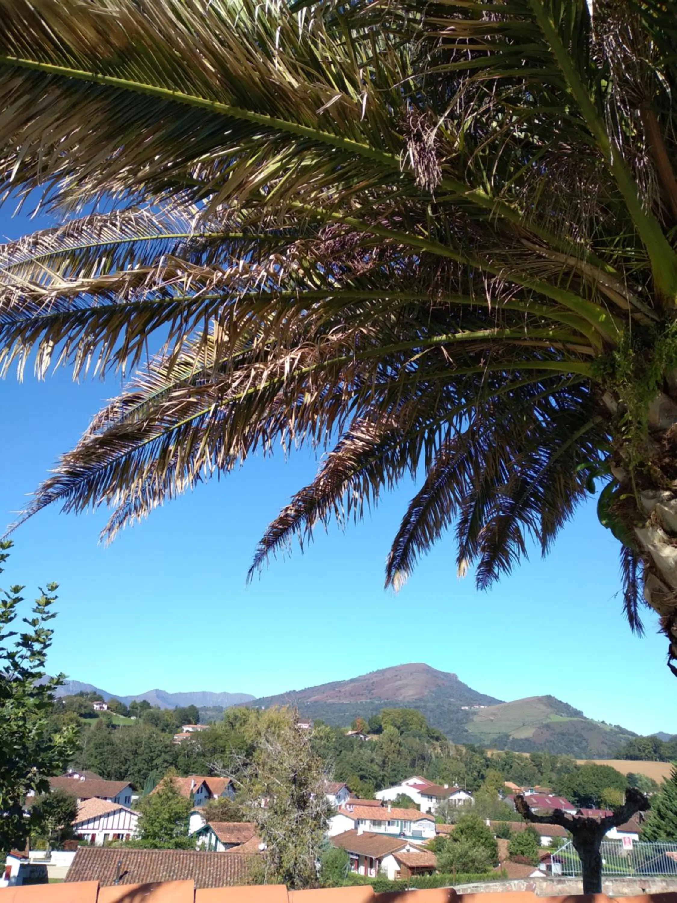 Garden view in Hôtel Camou