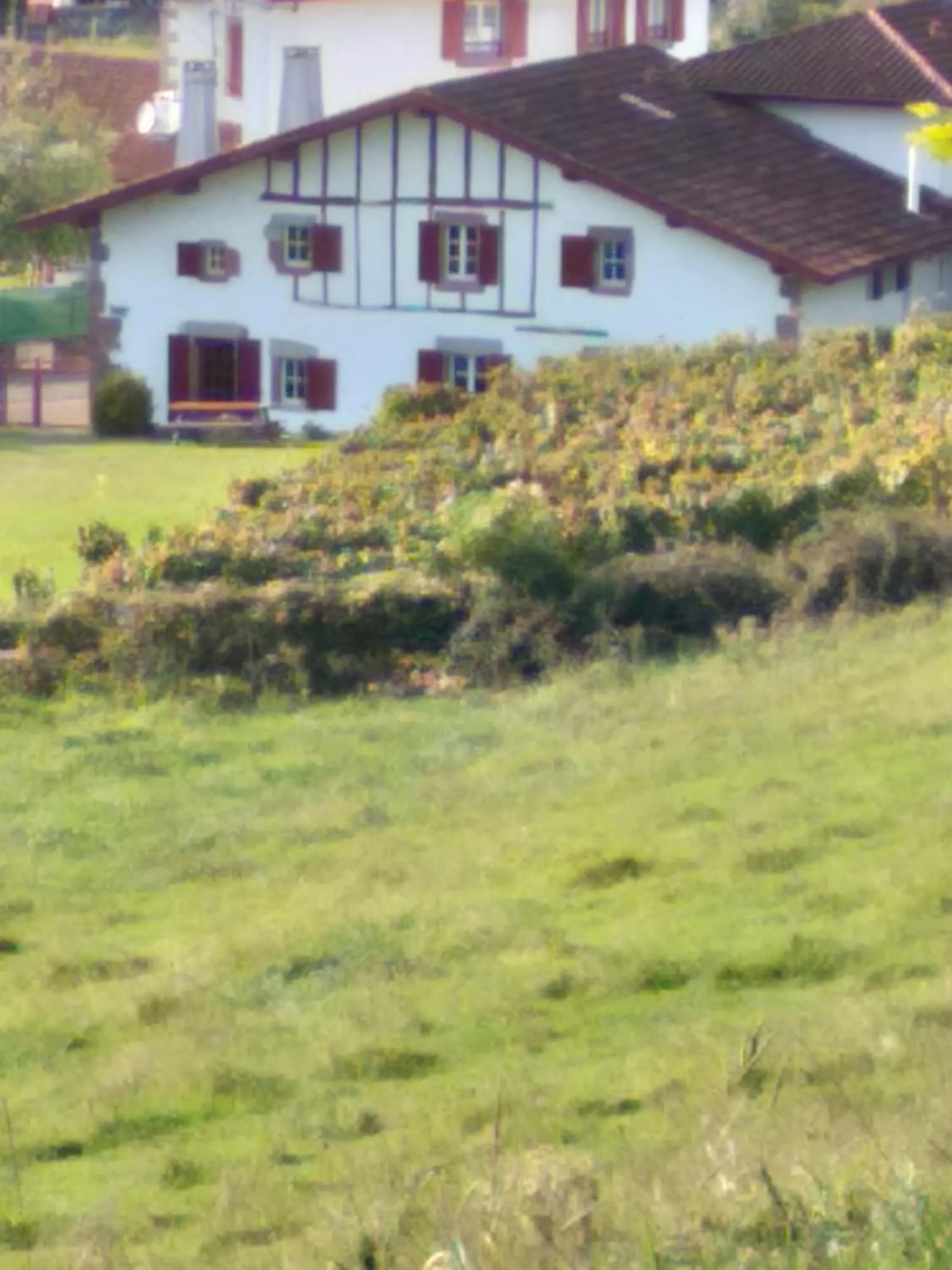 Natural landscape in Hôtel Camou