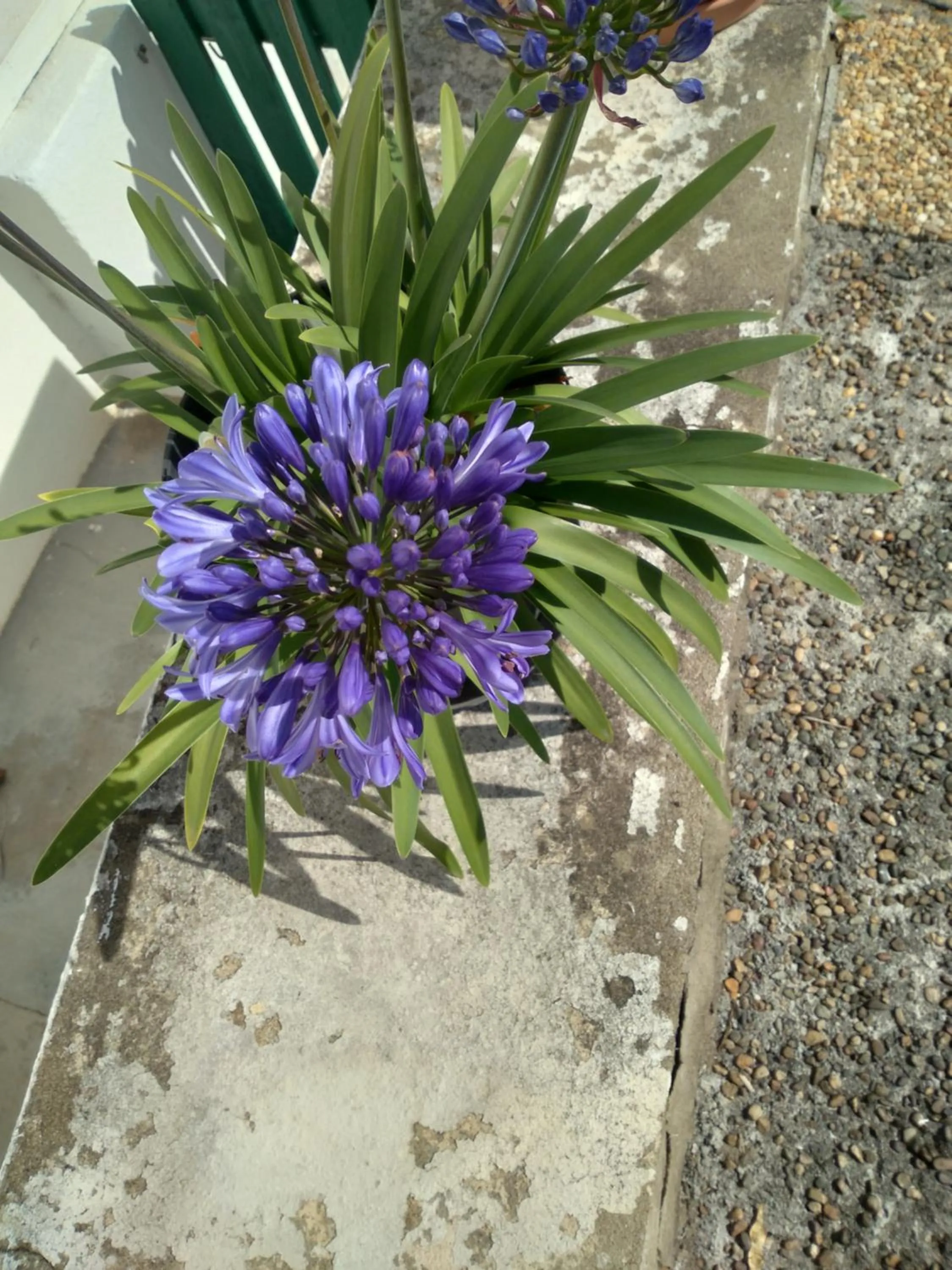Seasons in Hôtel Camou