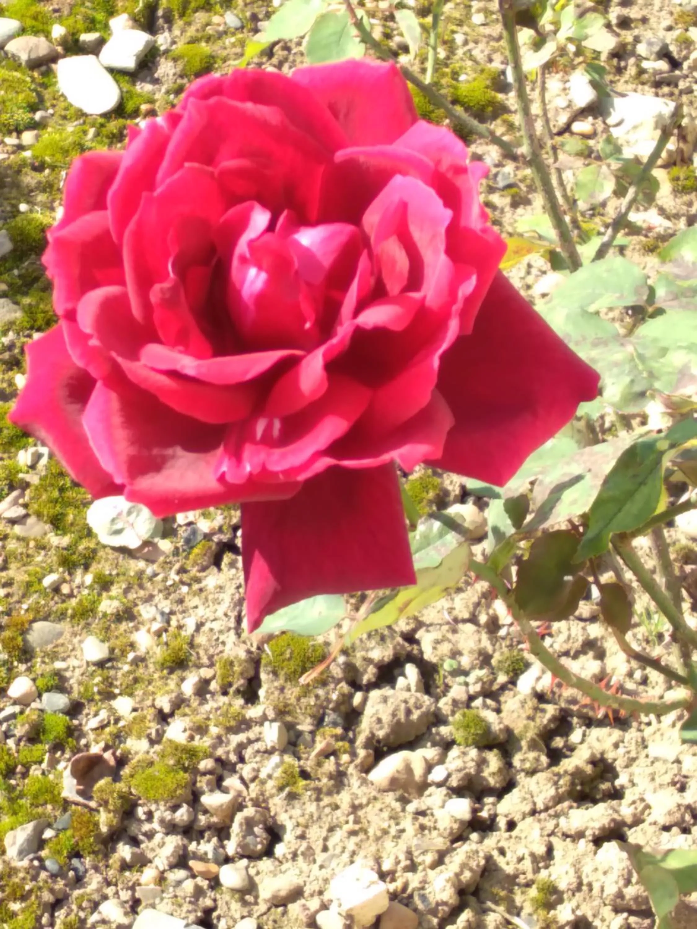 Seasons in Hôtel Camou