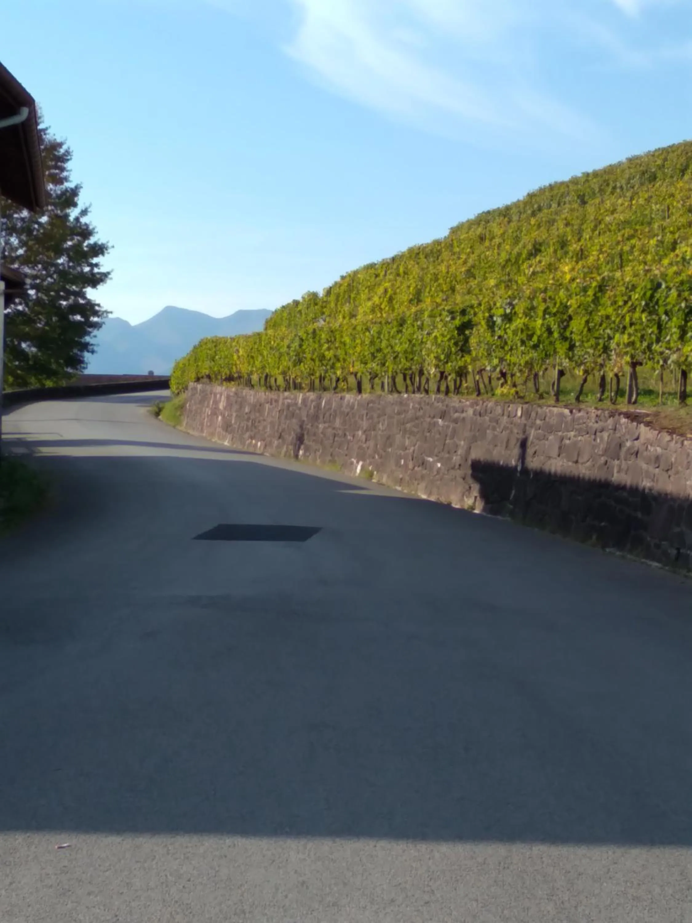 Natural landscape in Hôtel Camou