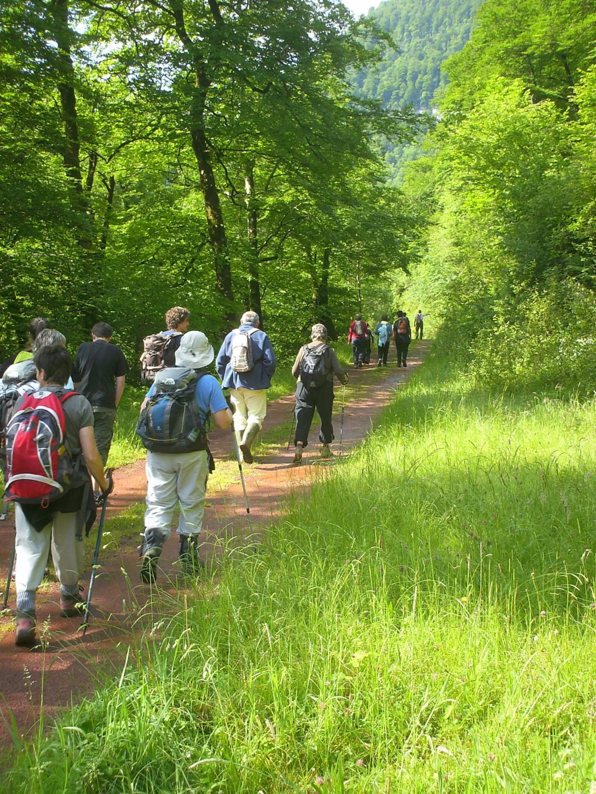 Natural landscape in Hôtel Camou