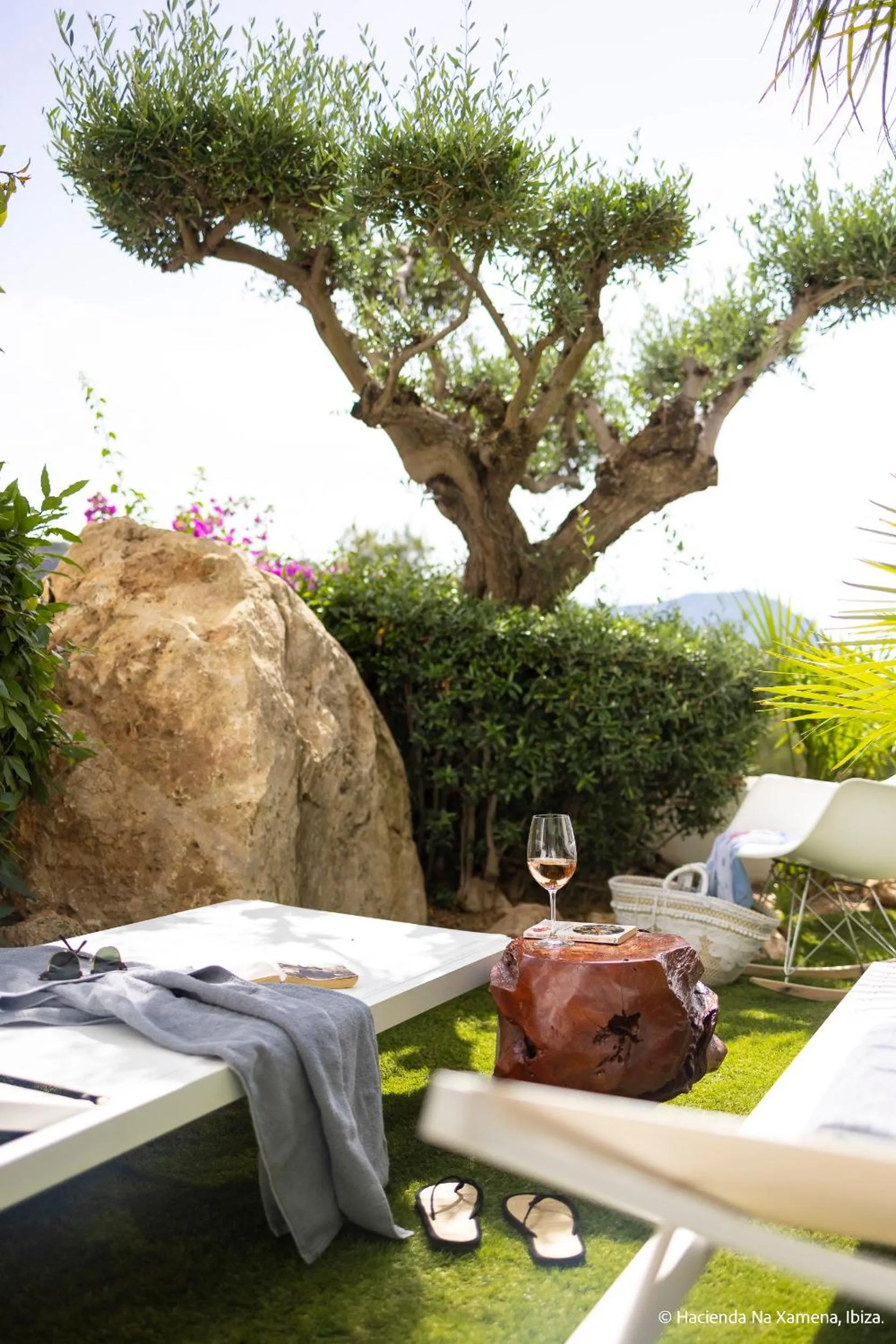 Natural landscape in Hacienda Na Xamena, Ibiza