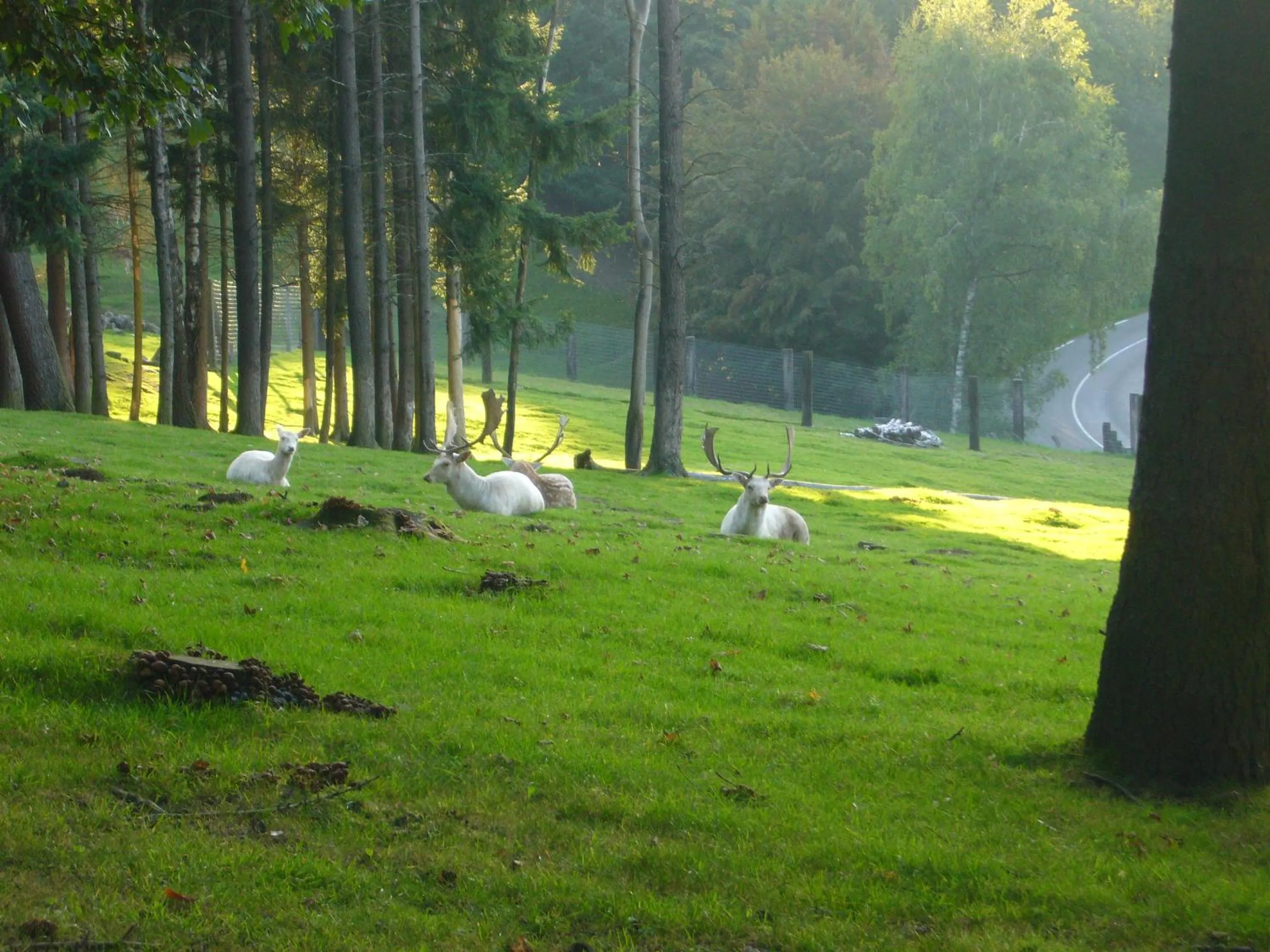 Neighbourhood in B&B de charme La Maison des 5 Temps