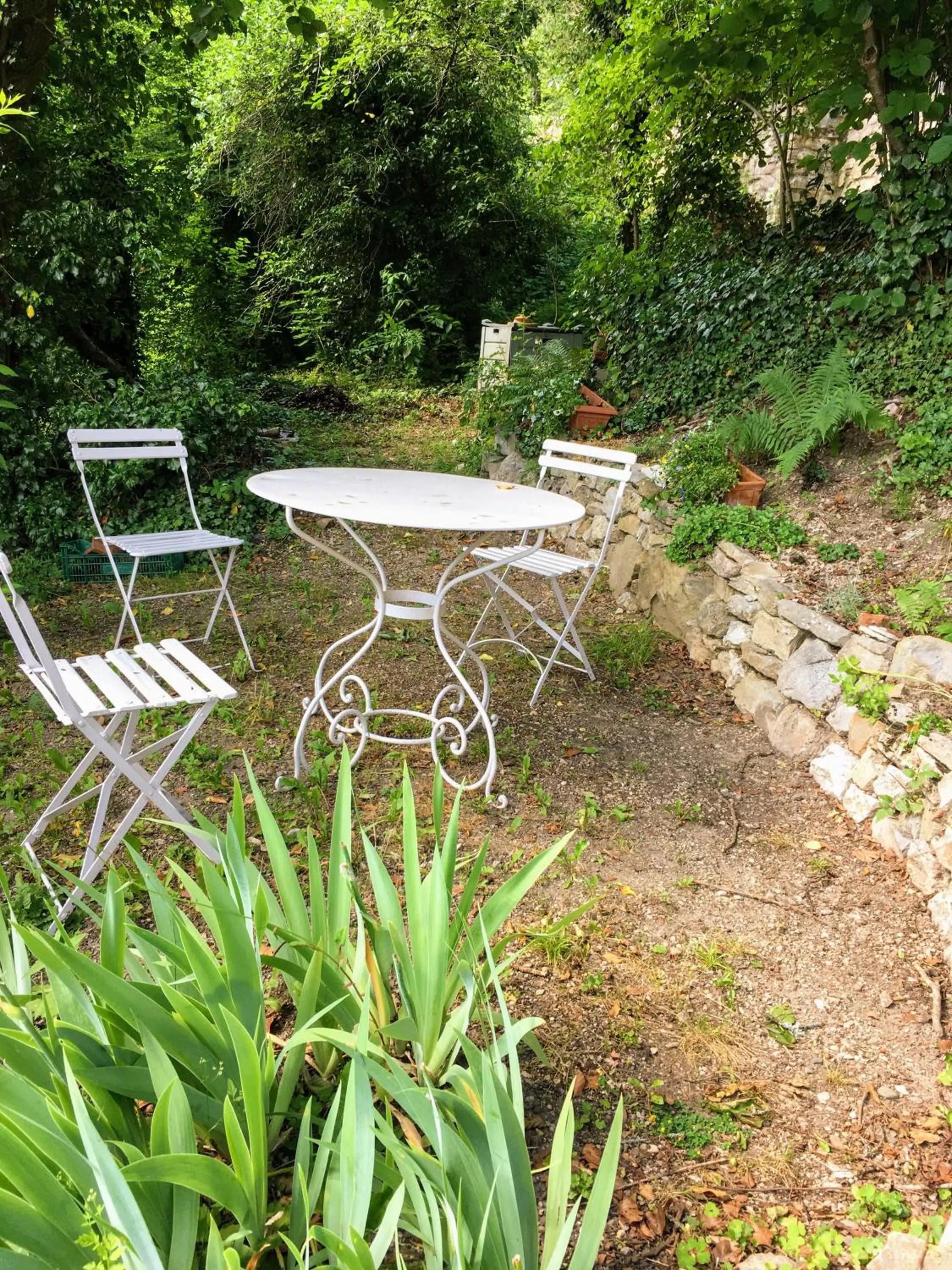 Garden in B&B de charme La Maison des 5 Temps