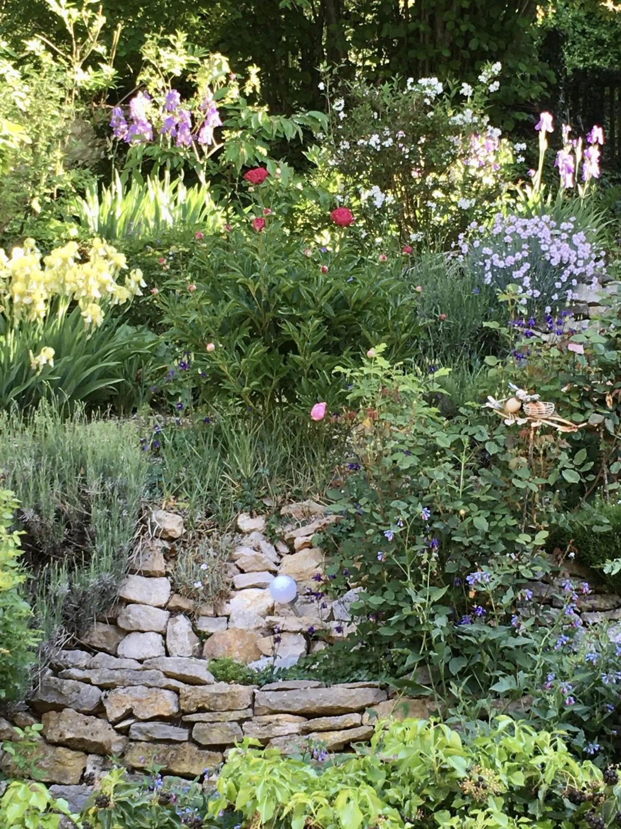 Garden in B&B de charme La Maison des 5 Temps