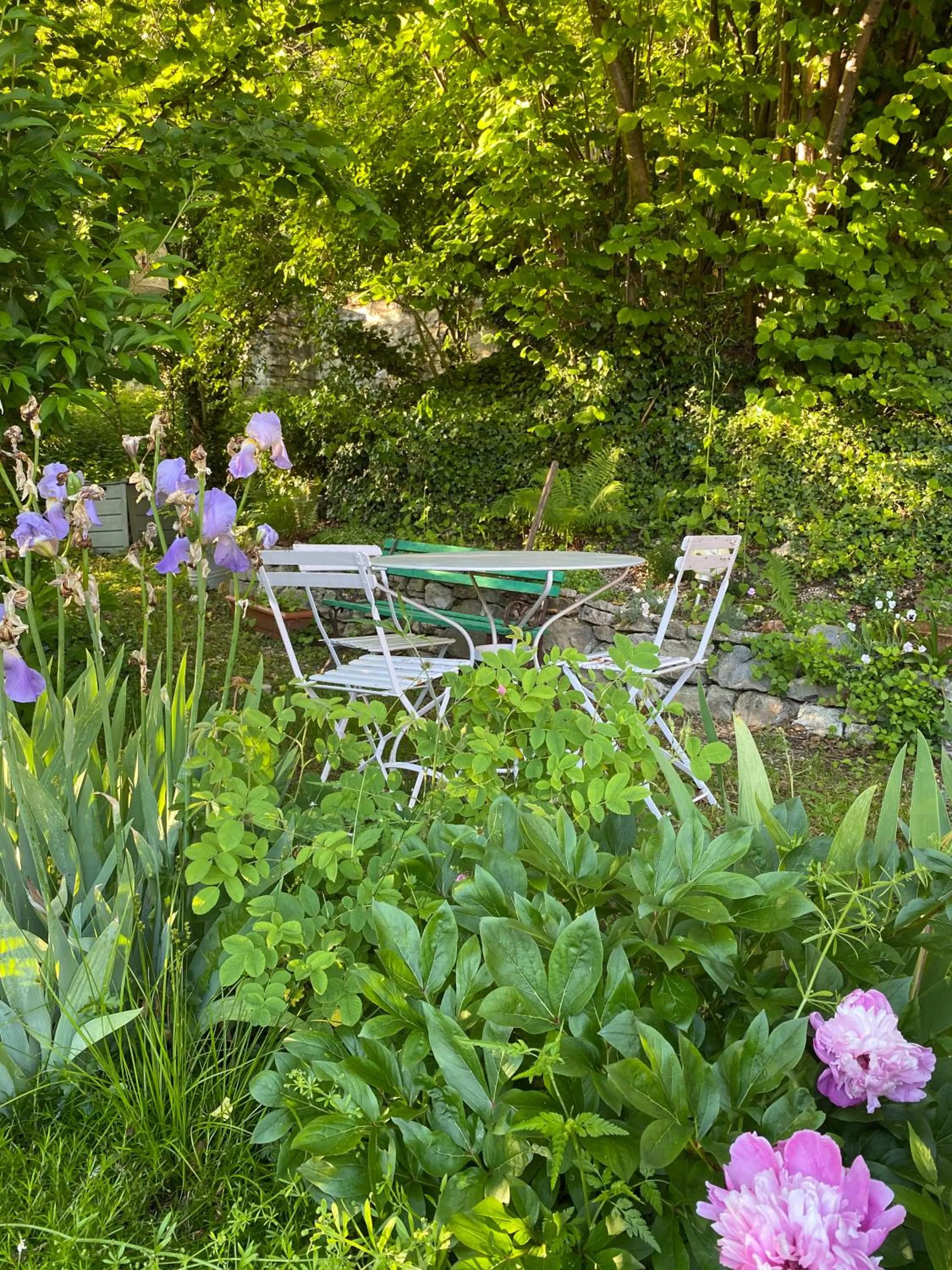 Garden in B&B de charme La Maison des 5 Temps