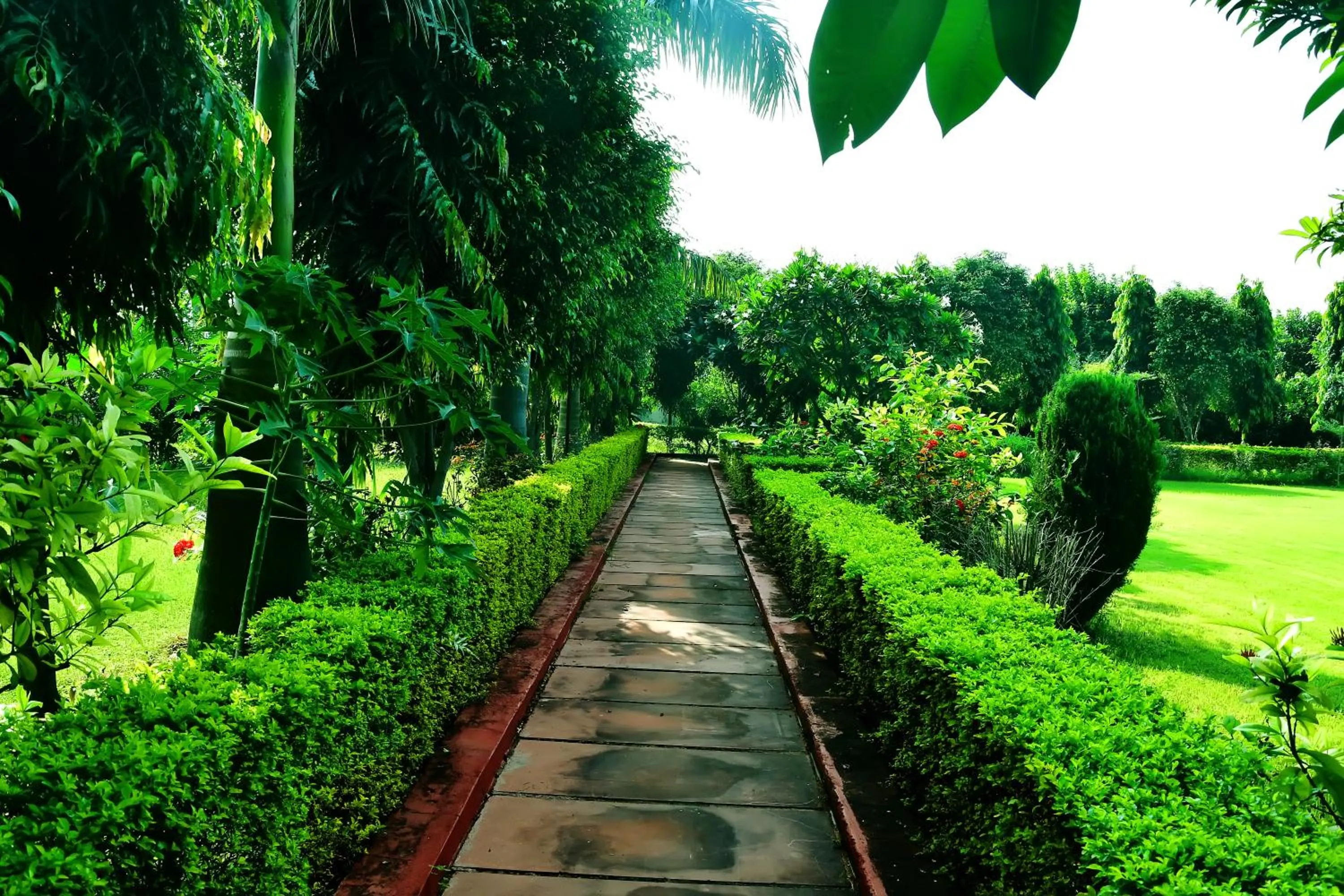 Day in Motibagh Resort