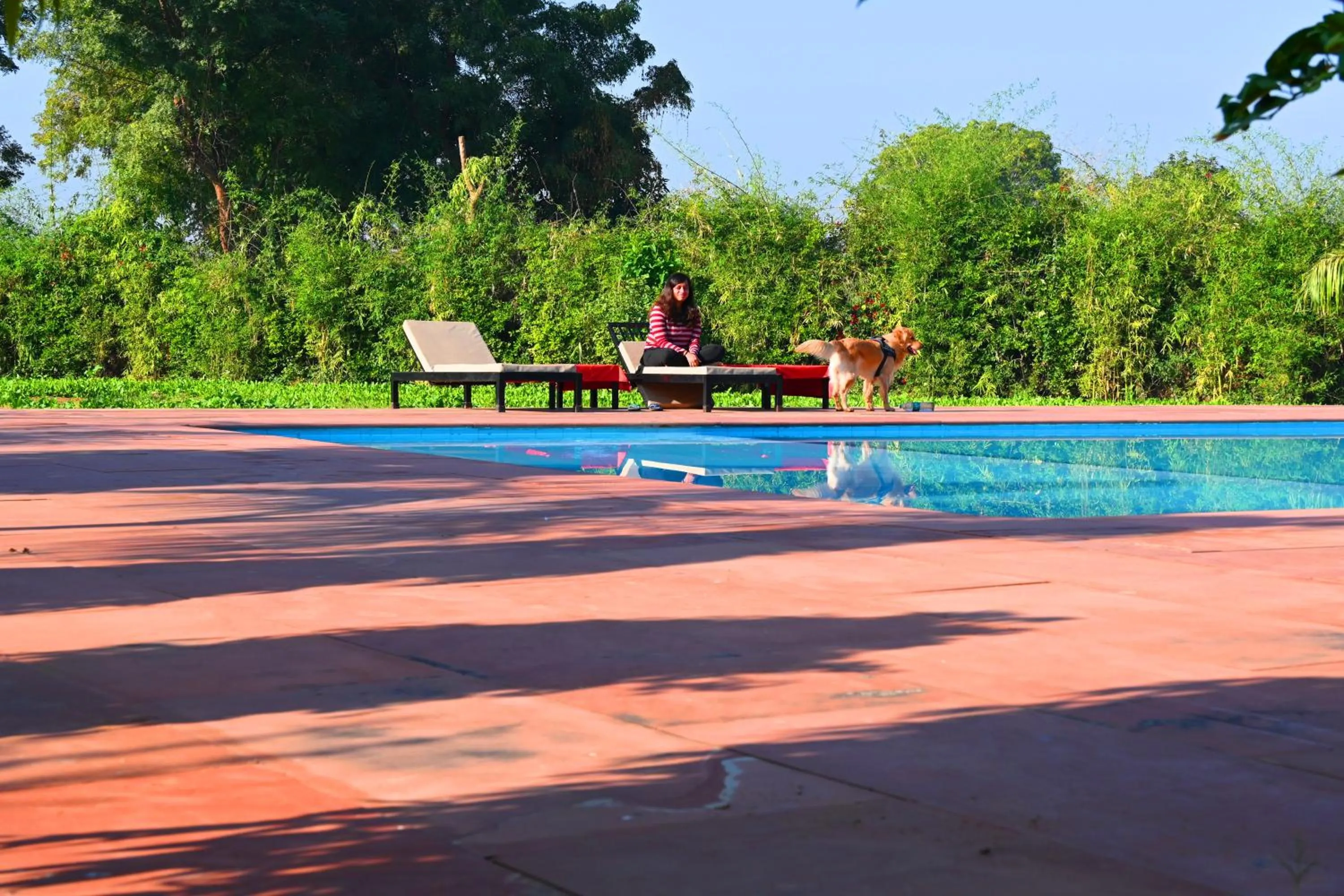 Day in Motibagh Resort