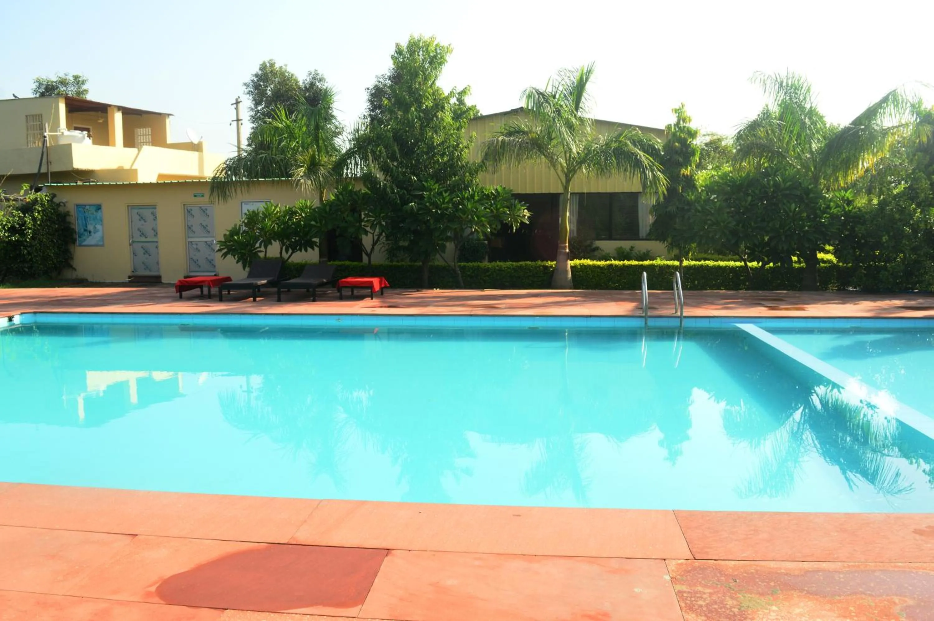 Swimming pool in Motibagh Resort