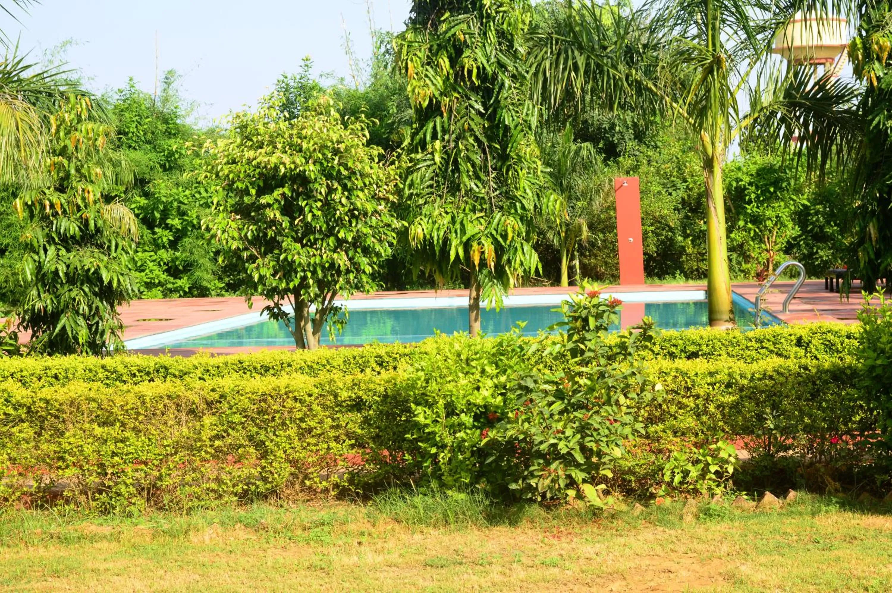 Pool view in Motibagh Resort