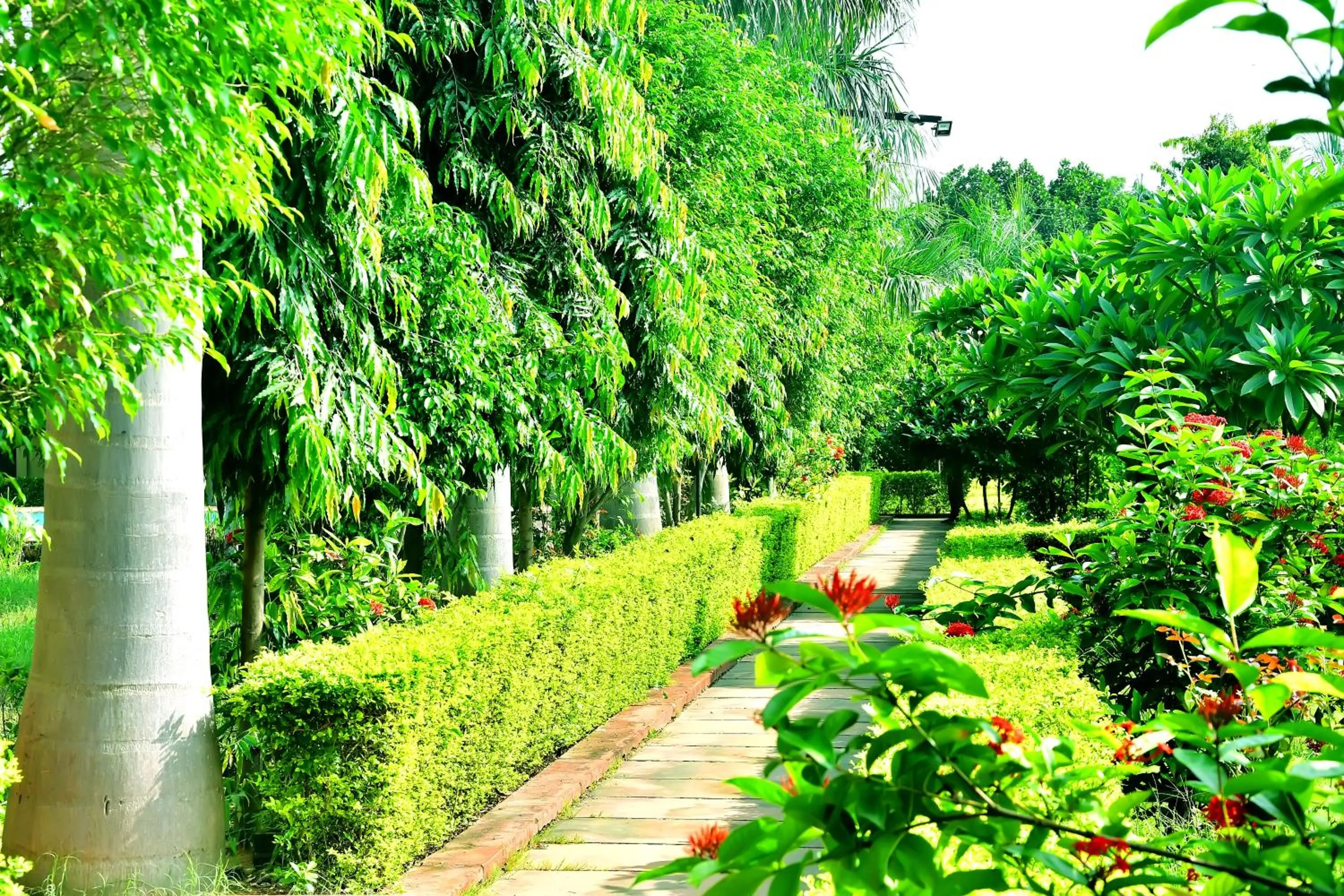 Spring in Motibagh Resort
