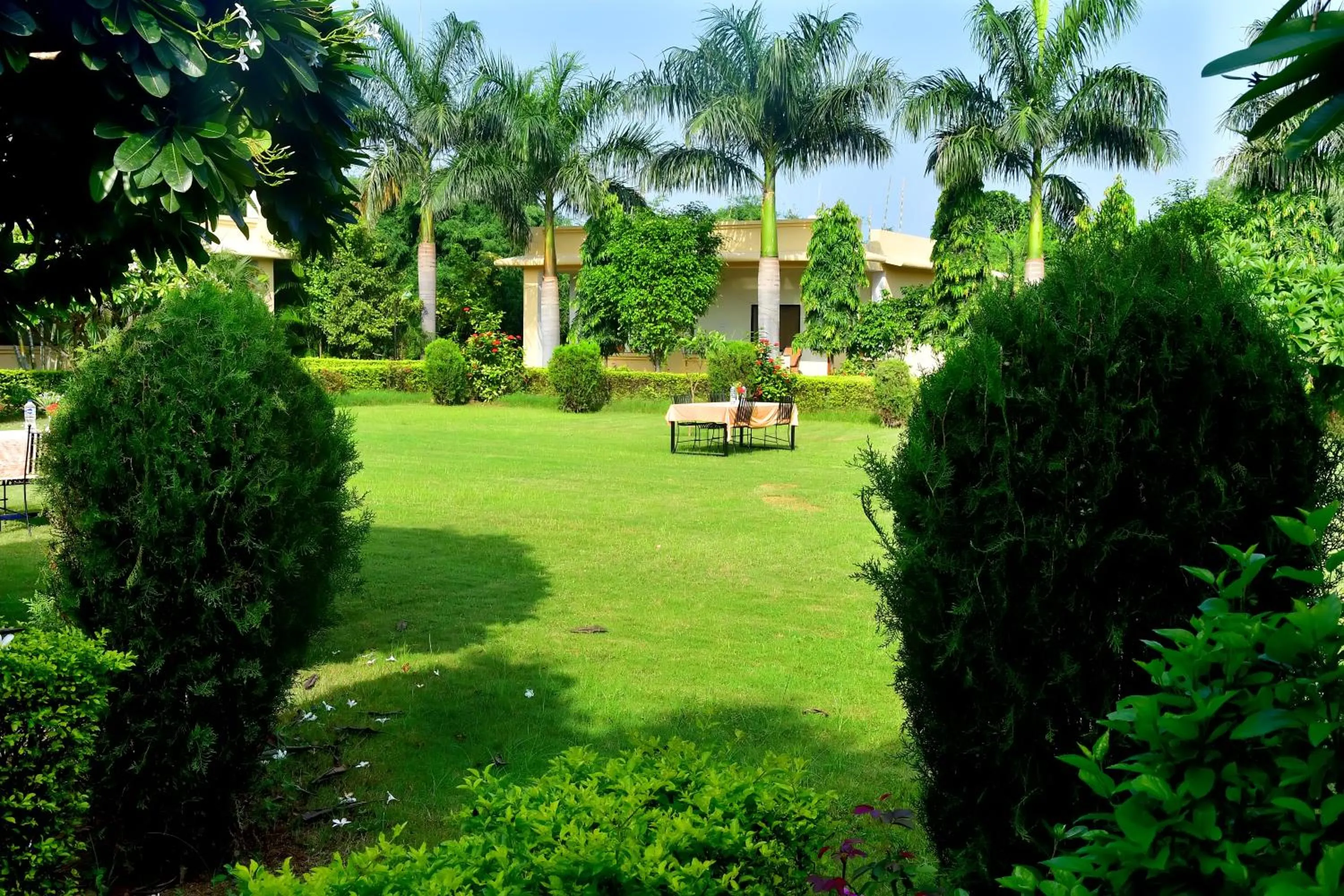 Garden view in Motibagh Resort