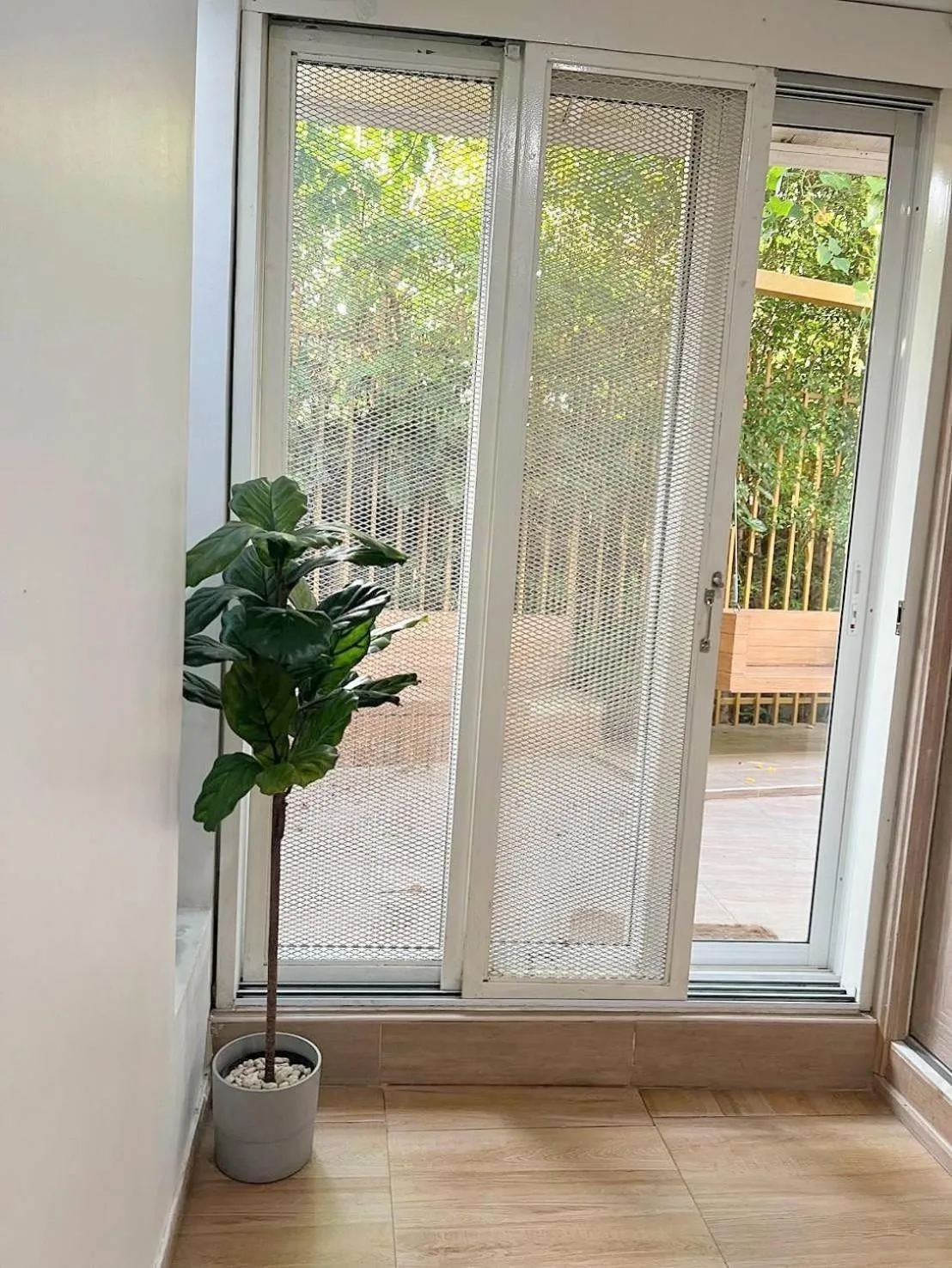 Garden in Nornnuea @ Inthanon