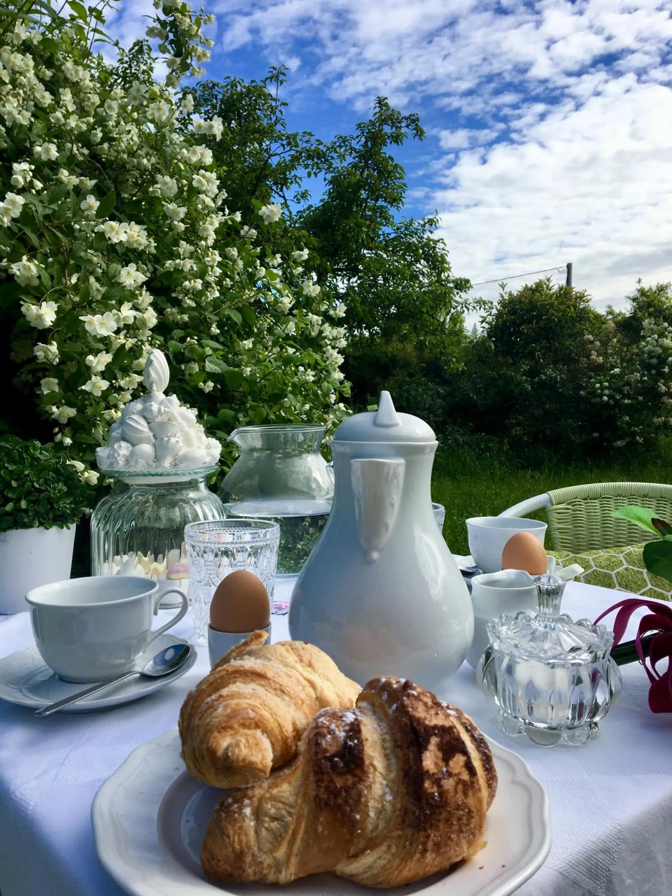 Garden in Villa Manto