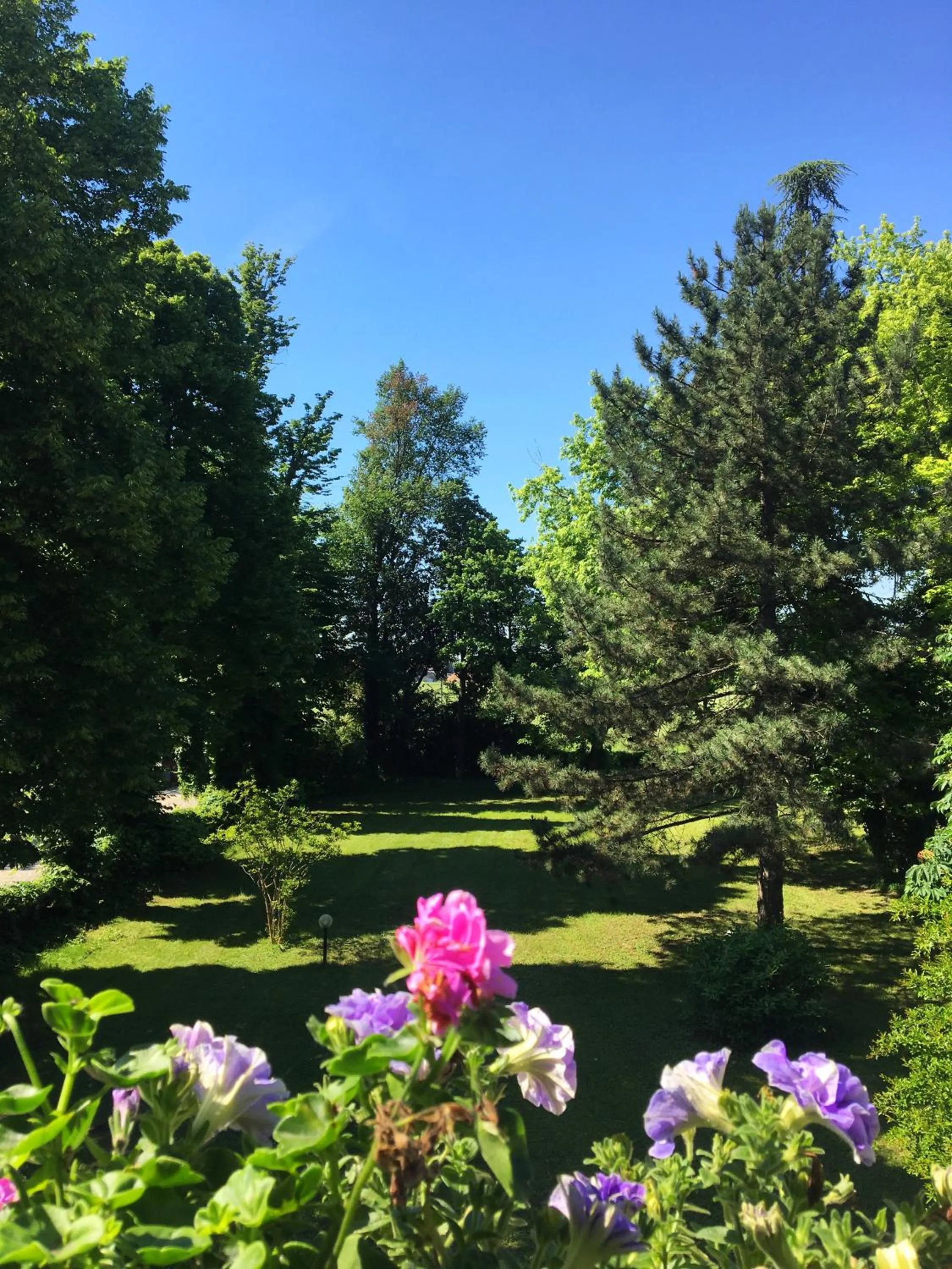 Garden in Villa Manto