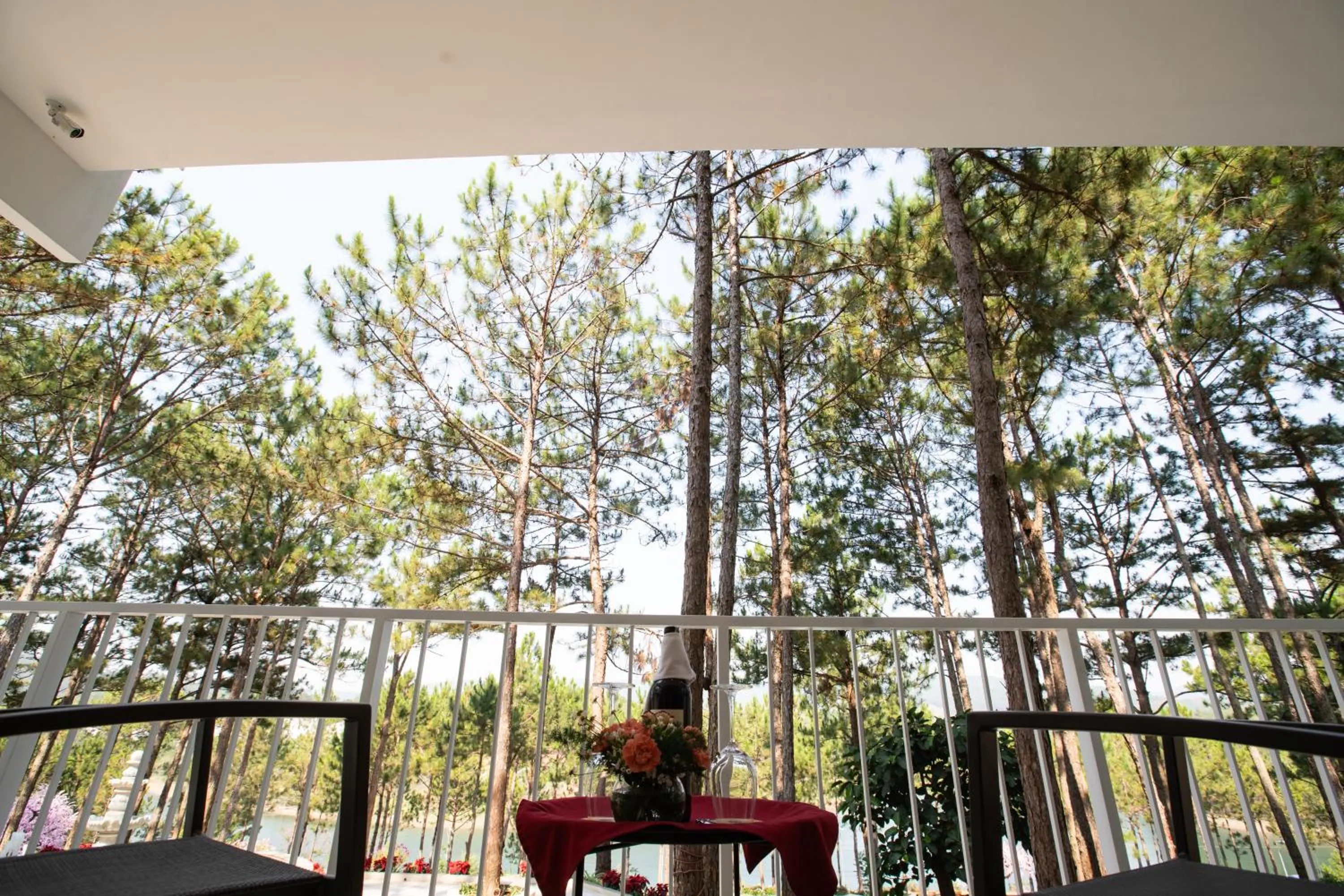 Balcony/Terrace in CEREJA Hotel & Resort Dalat