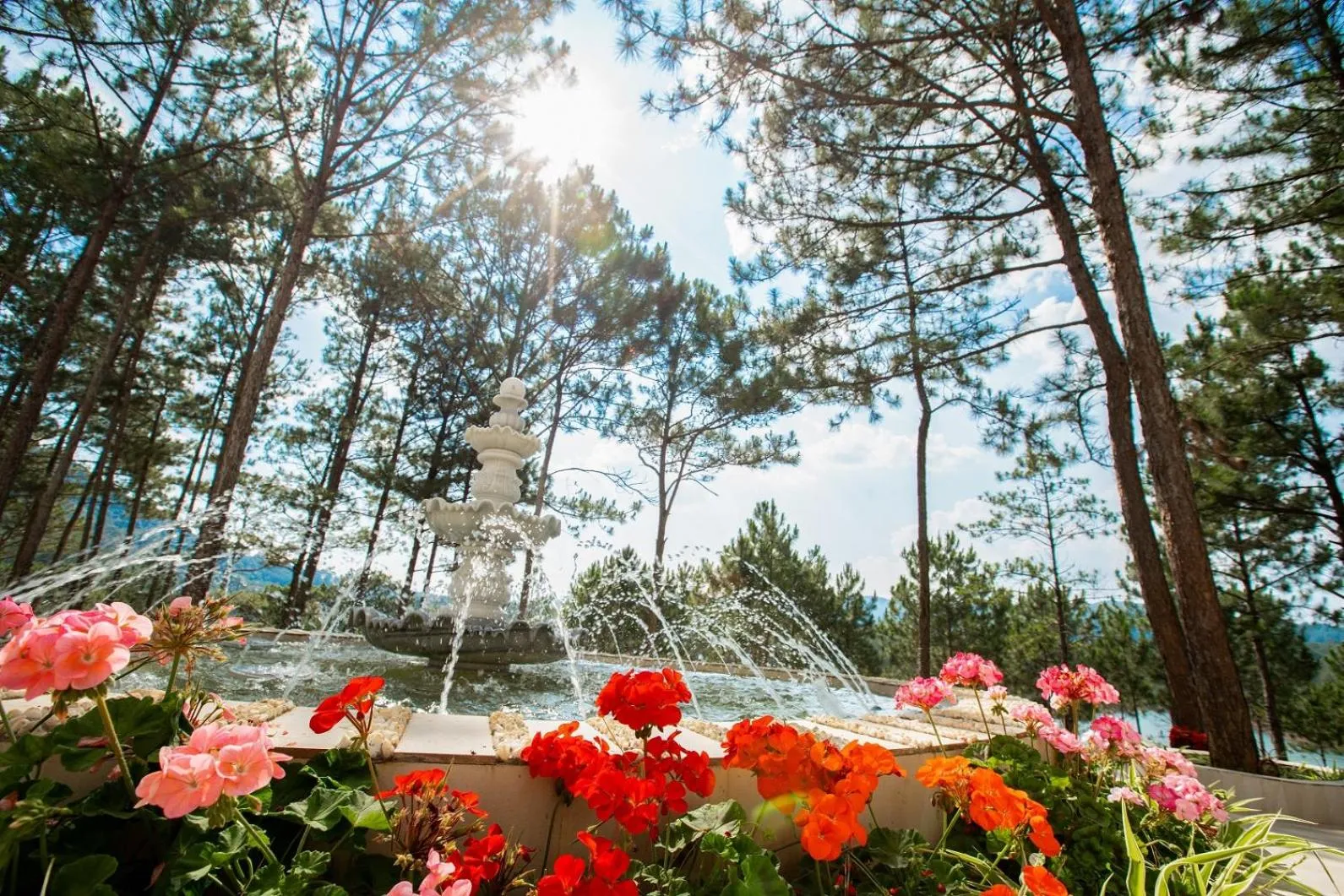 Garden in CEREJA Hotel & Resort Dalat