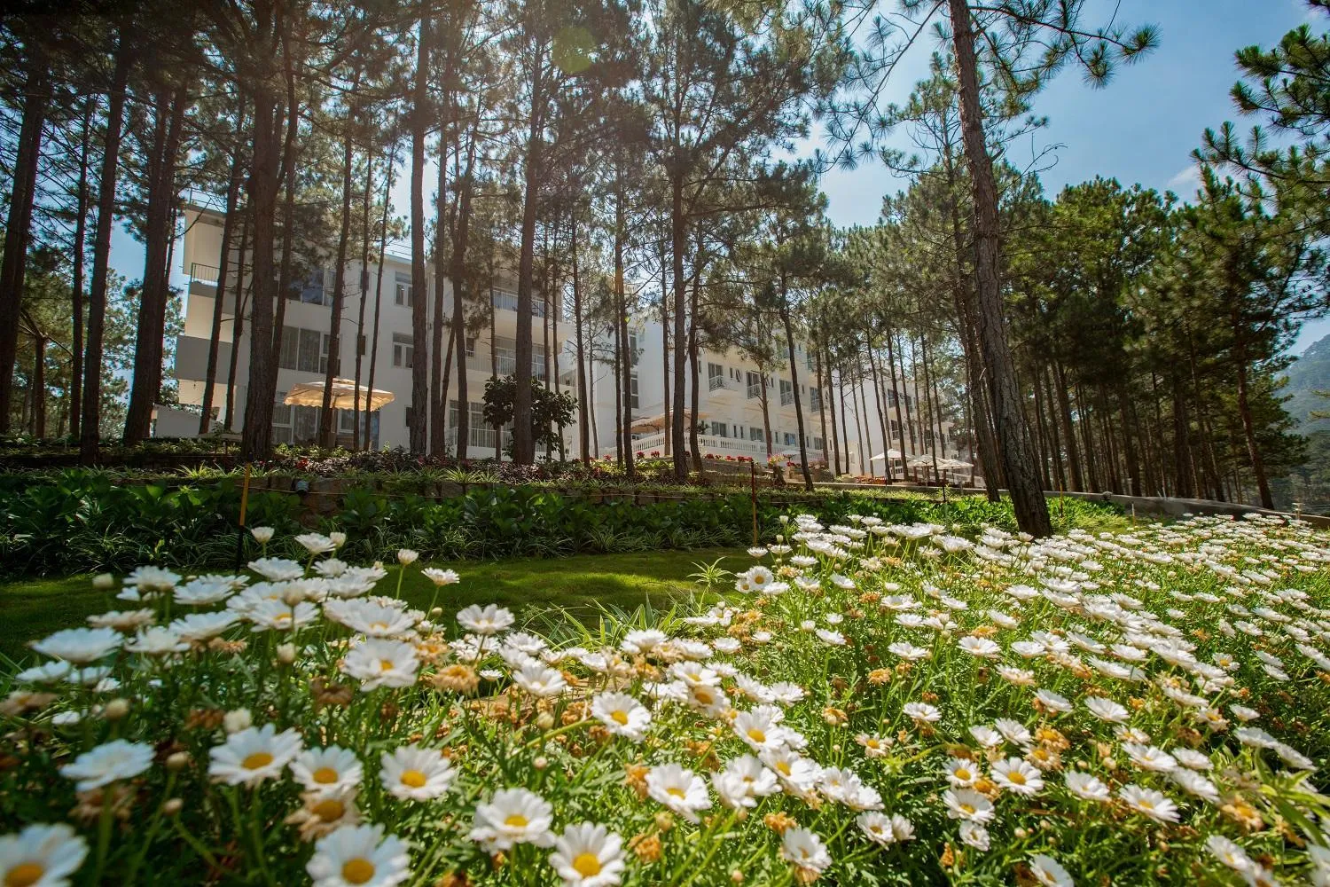 Natural landscape in CEREJA Hotel & Resort Dalat
