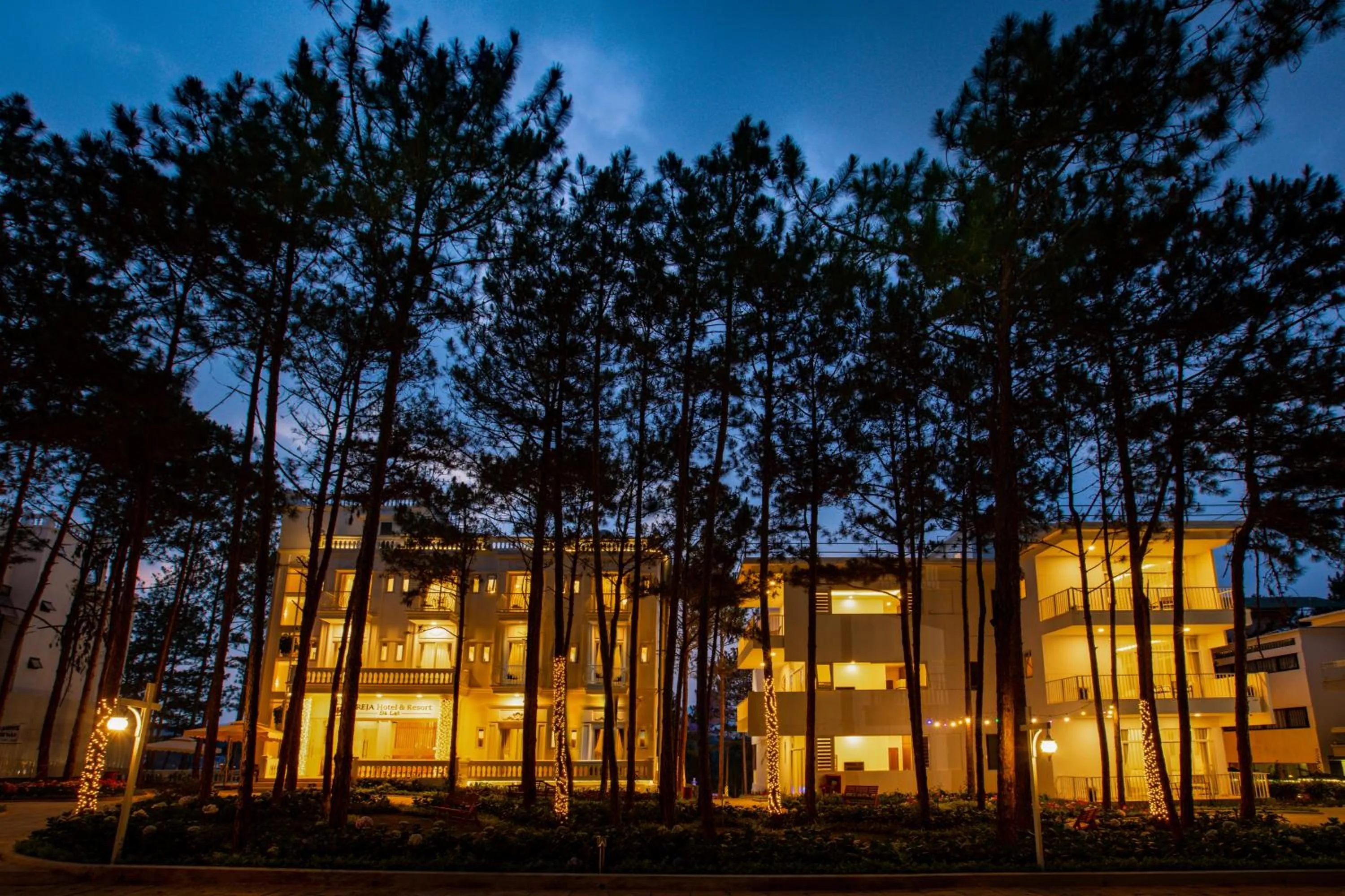 Night in CEREJA Hotel & Resort Dalat