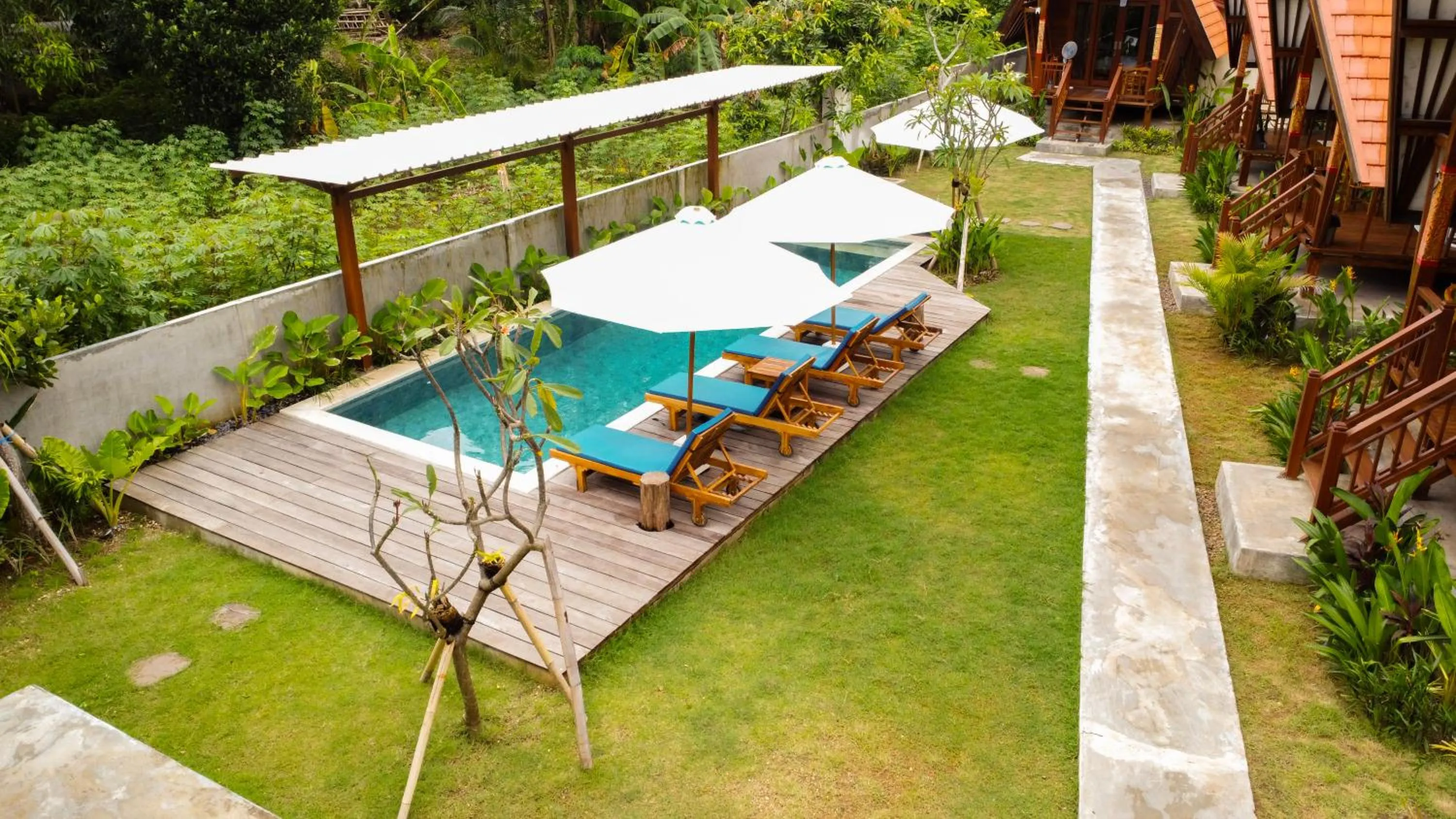 Garden in Castaway Island Hostel