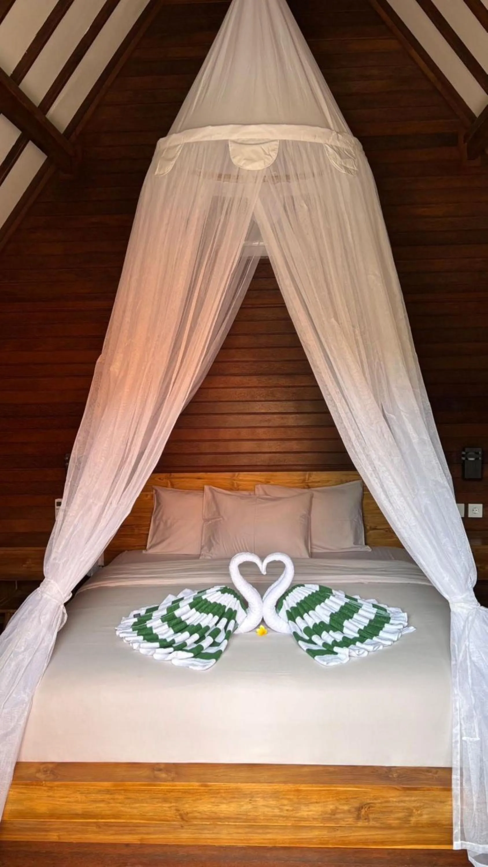 Bedroom, Bed in Castaway Island Hostel