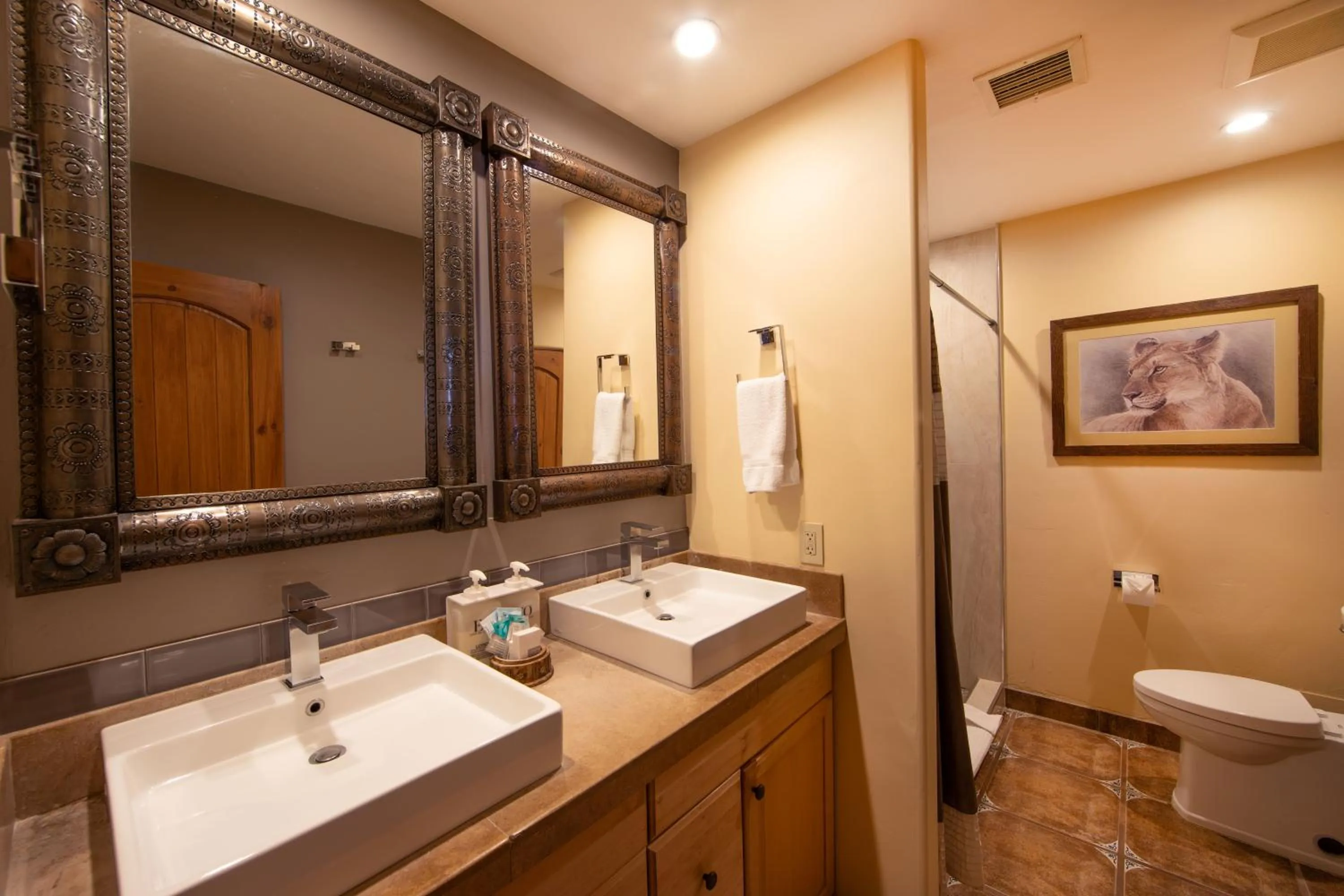 Shower in A Sunset Chateau