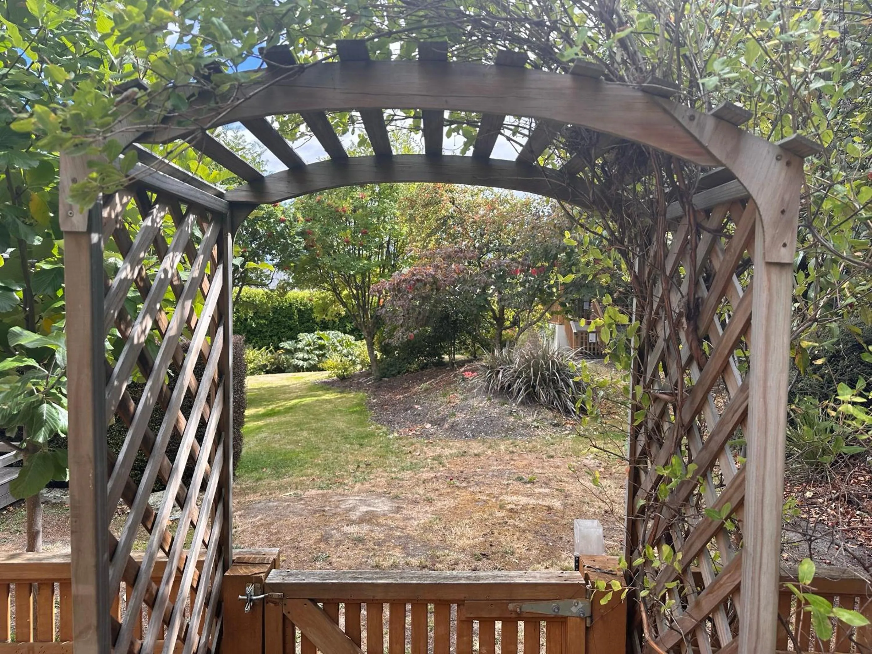 Garden in Wanaka Springs Lodge
