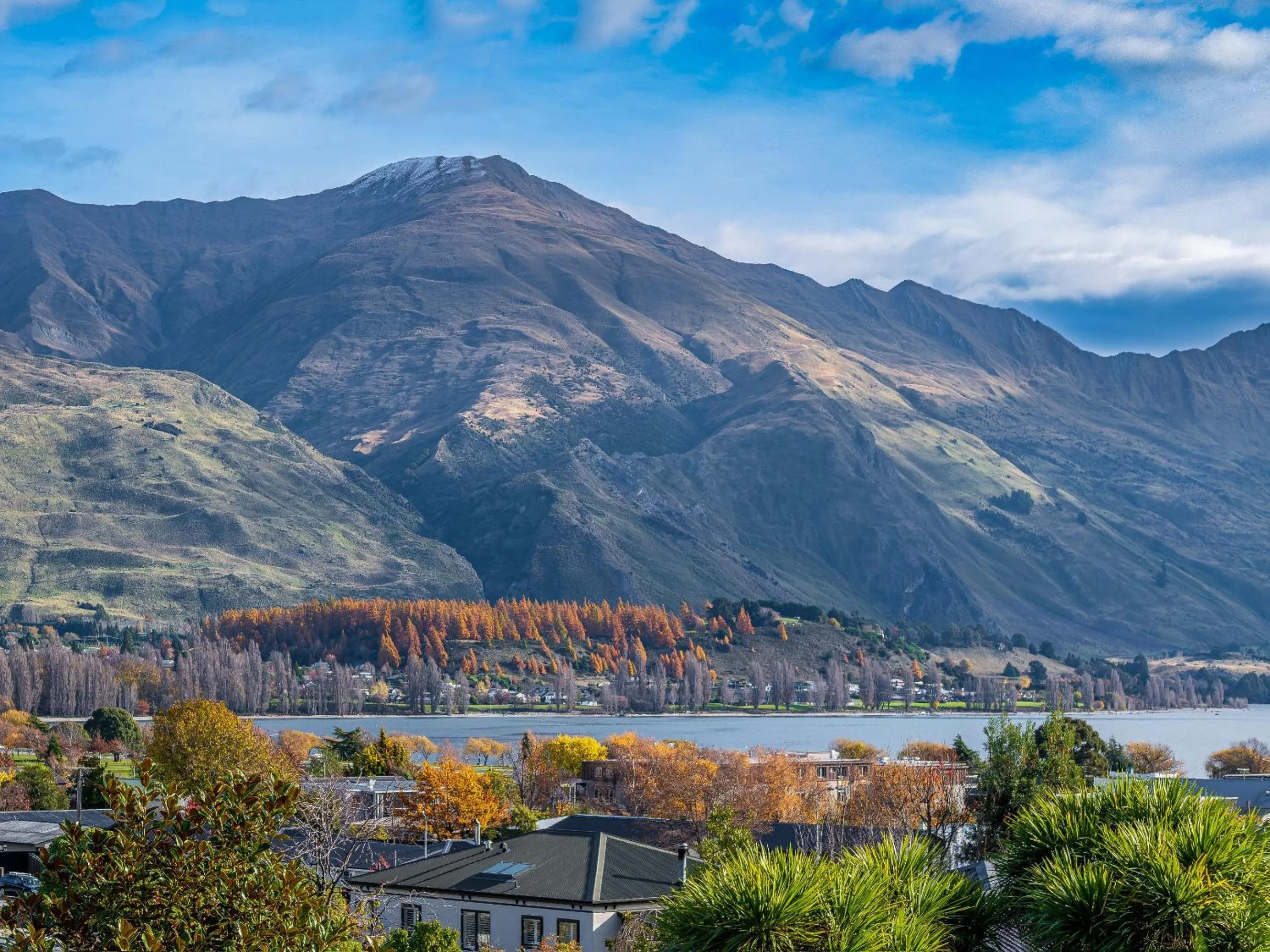 View (from property/room) in Wanaka Springs Lodge