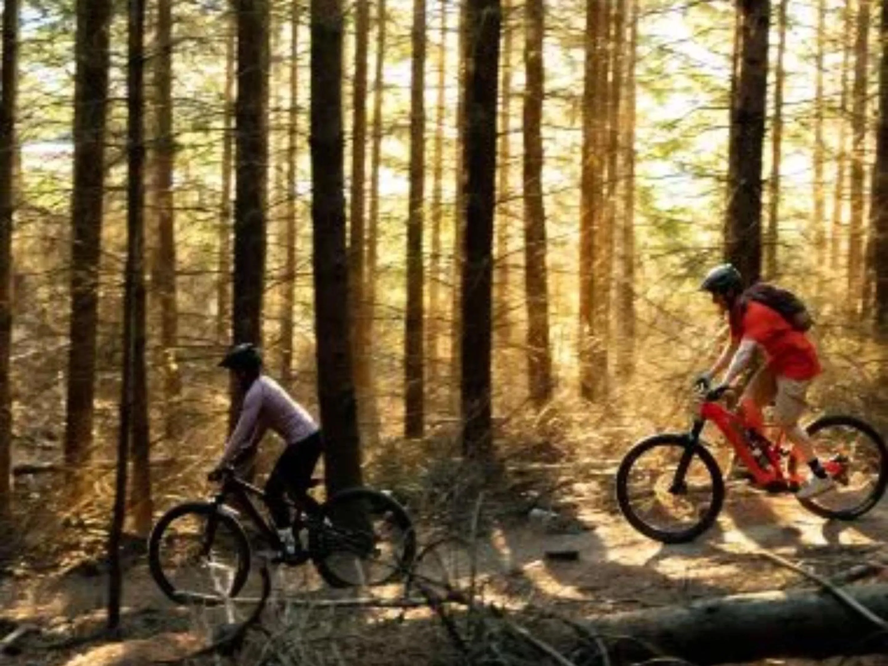 Cycling in Wanaka Springs Lodge