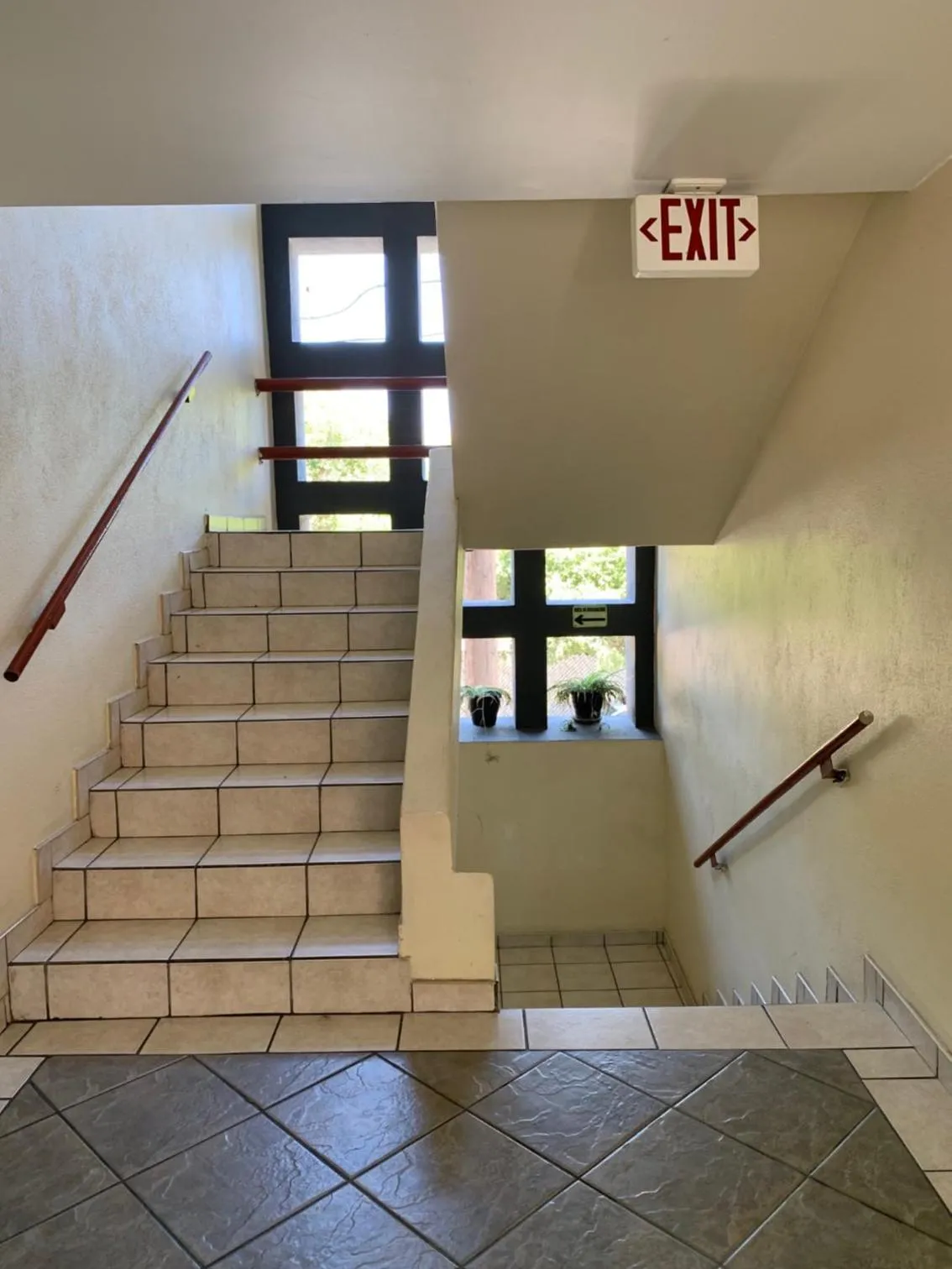 Area and facilities in Hotel Posada Don Fernando