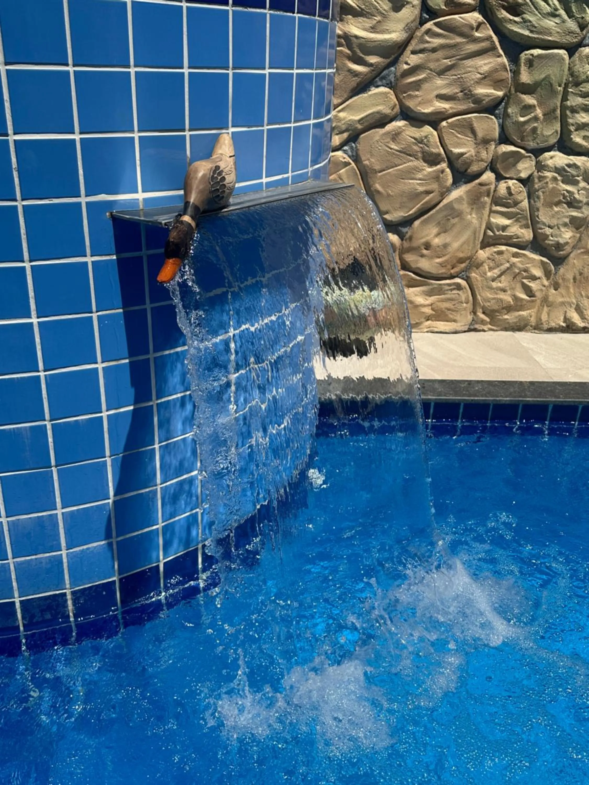 Swimming pool in Flor de Limão Hotel Boutique