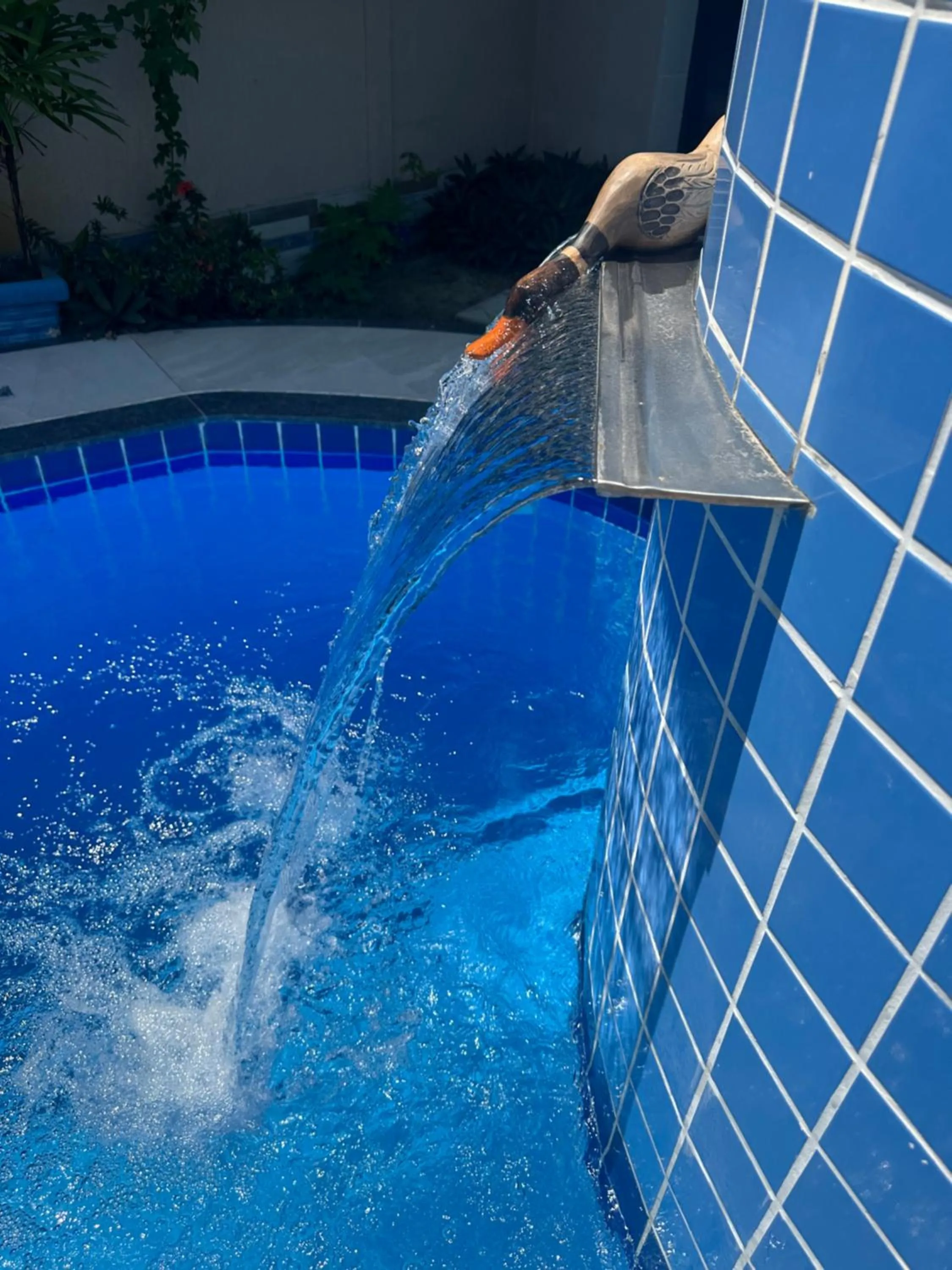 Swimming pool in Flor de Limão Hotel Boutique