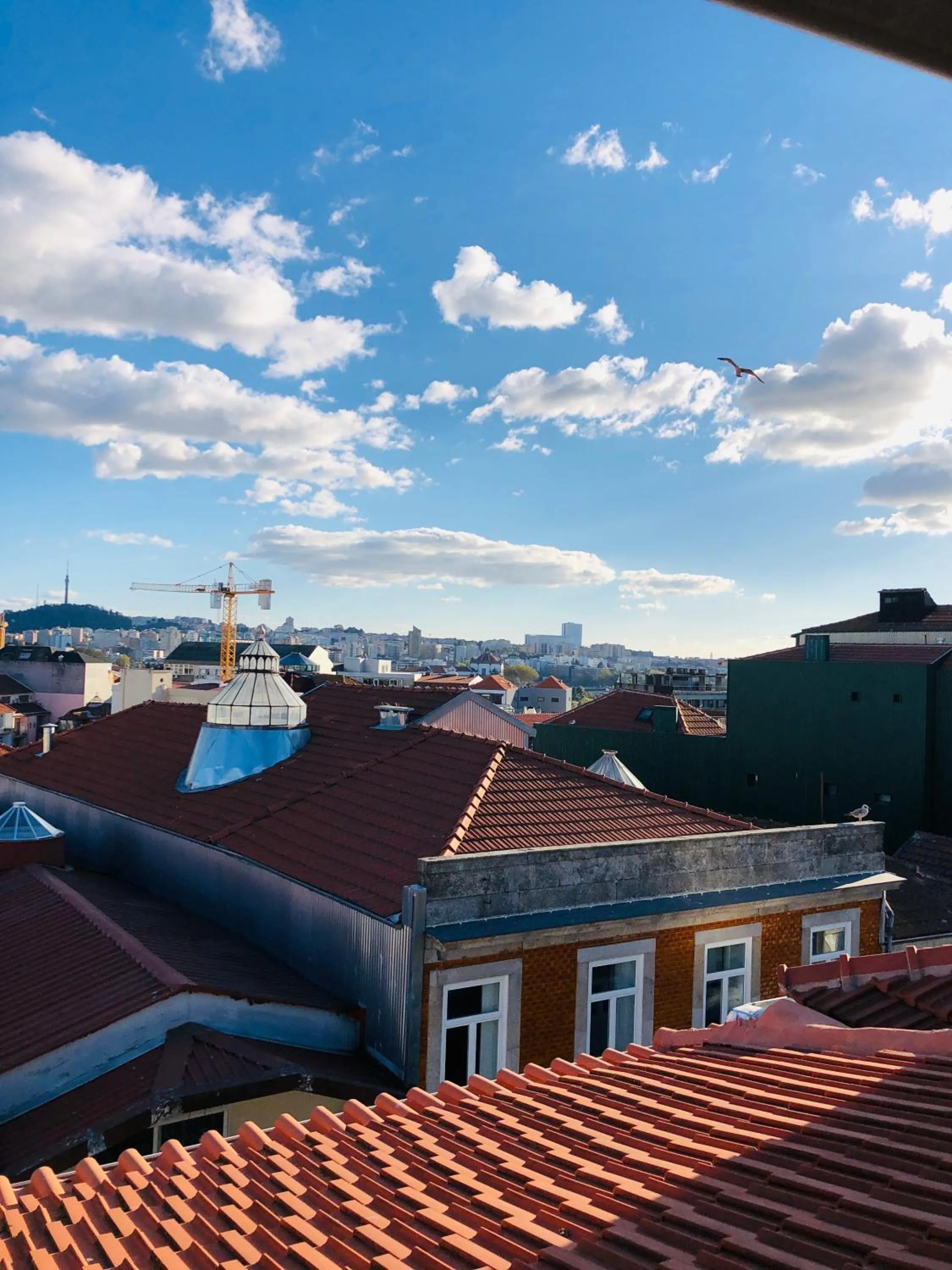 Bird's eye view in HaoBo Porto Center