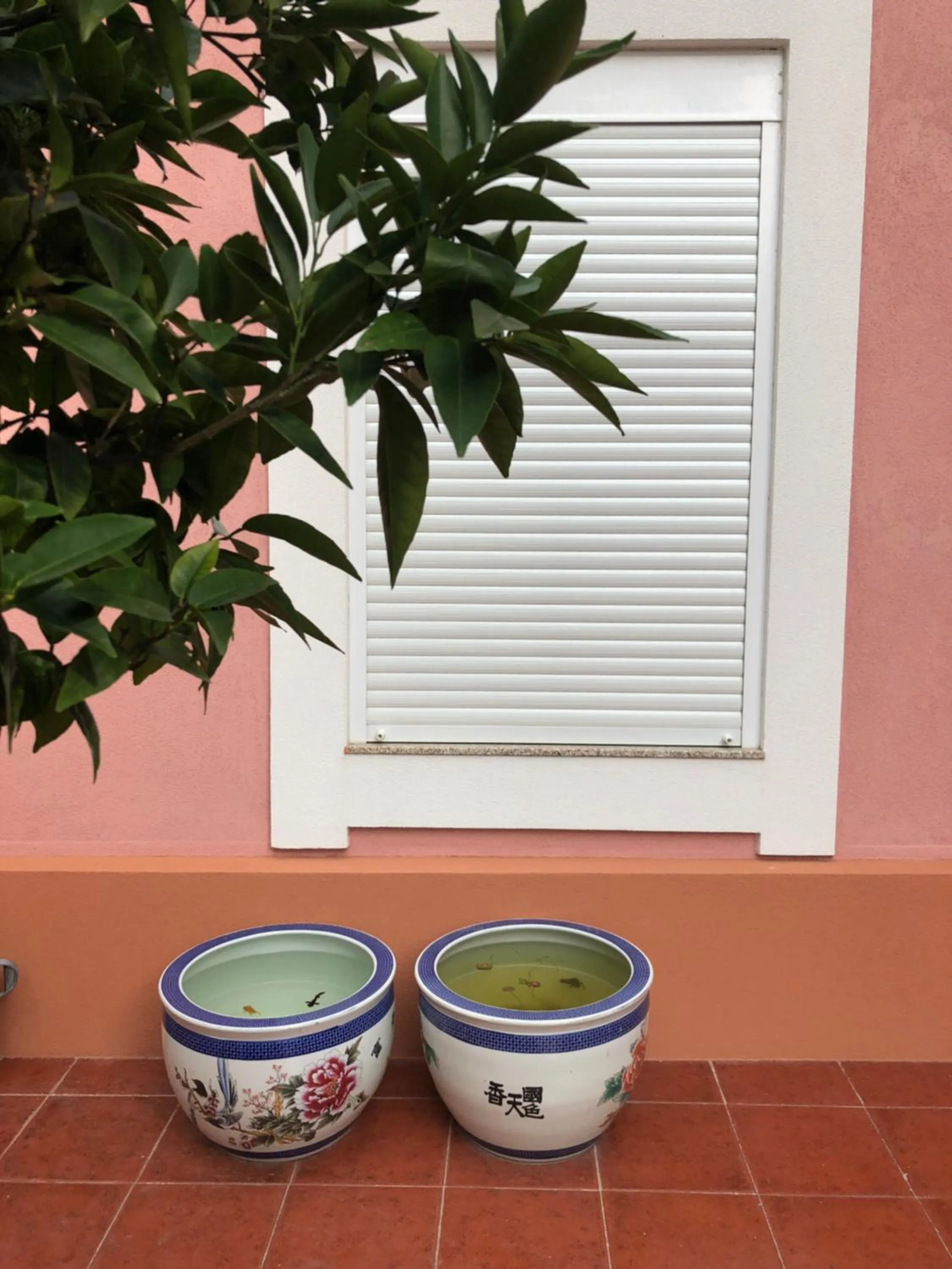 Balcony/Terrace in HaoBo Porto Center
