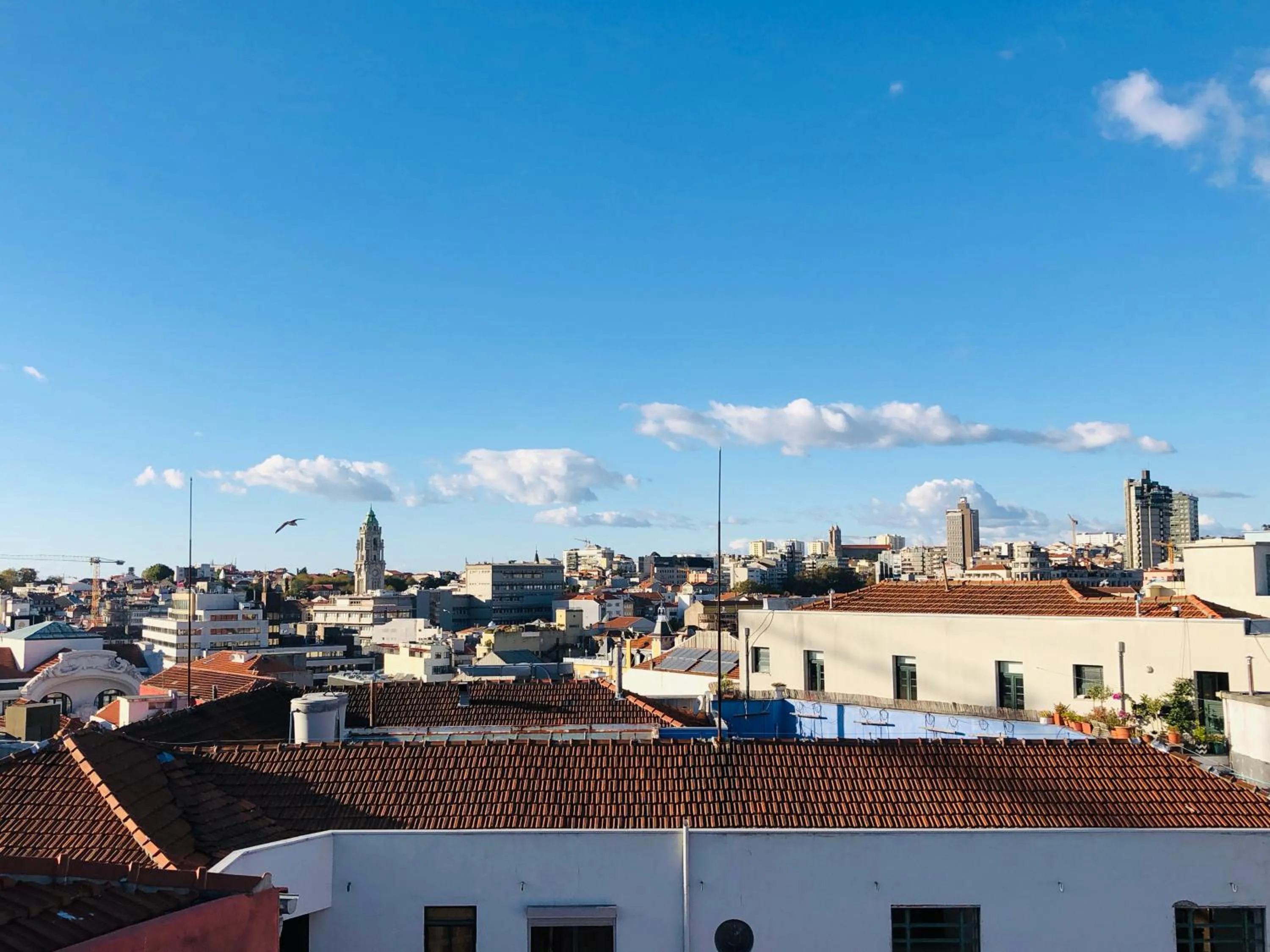 Natural landscape in HaoBo Porto Center